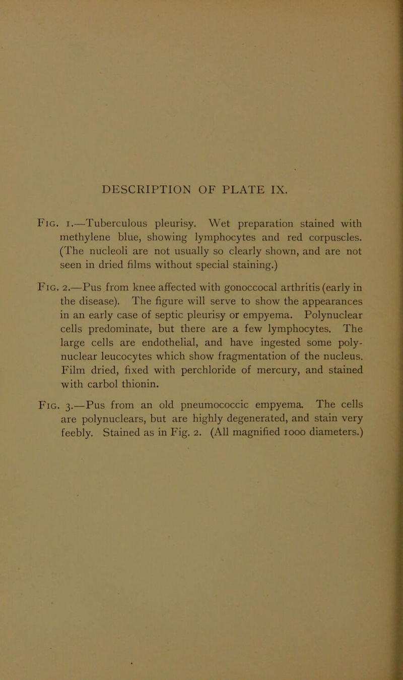 Fig. I.—Tuberculous pleurisy. Wet preparation stained with methylene blue, showing lymphocytes and red corpuscles. (The nucleoli are not usually so clearly shown, and are not seen in dried films without special staining.) Fig. 2.—Pus from knee affected with gonoccocal arthritis (early in the disease). The figure will serve to show the appearances in an early case of septic pleurisy or empyema. Polynuclear cells predominate, but there are a few lymphocytes. The large cells are endothelial, and have ingested some poly- nuclear leucocytes which show fragmentation of the nucleus. Film dried, fixed with perchloride of mercury, and stained with carbol thionin. Fig. 3.—Pus from an old pneumococcic empyema. The cells are polynuclears, but are highly degenerated, and stain very feebly. Stained as in Fig. 2. (All magnified 1000 diameters.)