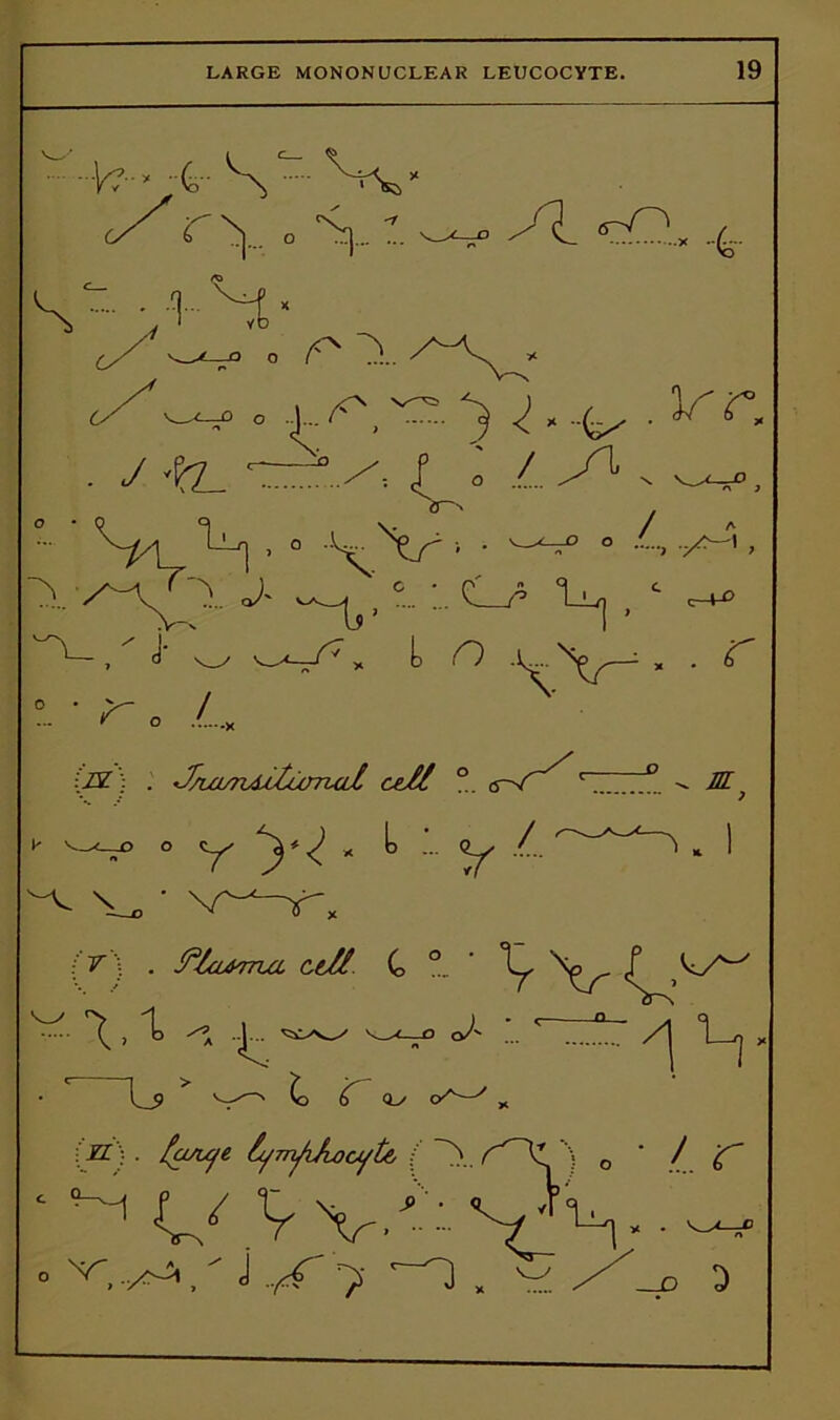 Vv , ;V,' ./ r y „ ^ J\_ -cO, 4 S - ■> ^ . r~y.. ■ y y.. <f a./.y1 9vi ■ ° / a O y-H J- ^ t n °. • 'r o U ;2E: . J/uLmA^lurruiX ce/£ °. '• ^ ° y yi - *> 1 y ■■ {V 5 . f’/a^rria. ceji C ° c-+^> . r . M v_v l_9 > v'' y <L/ <A- : H '; . laruje lymfiAocyte, [ 1 V ■ L r ' “M UVV’-Y'V-  V'. v^/ J .y 7 r_7) . w D