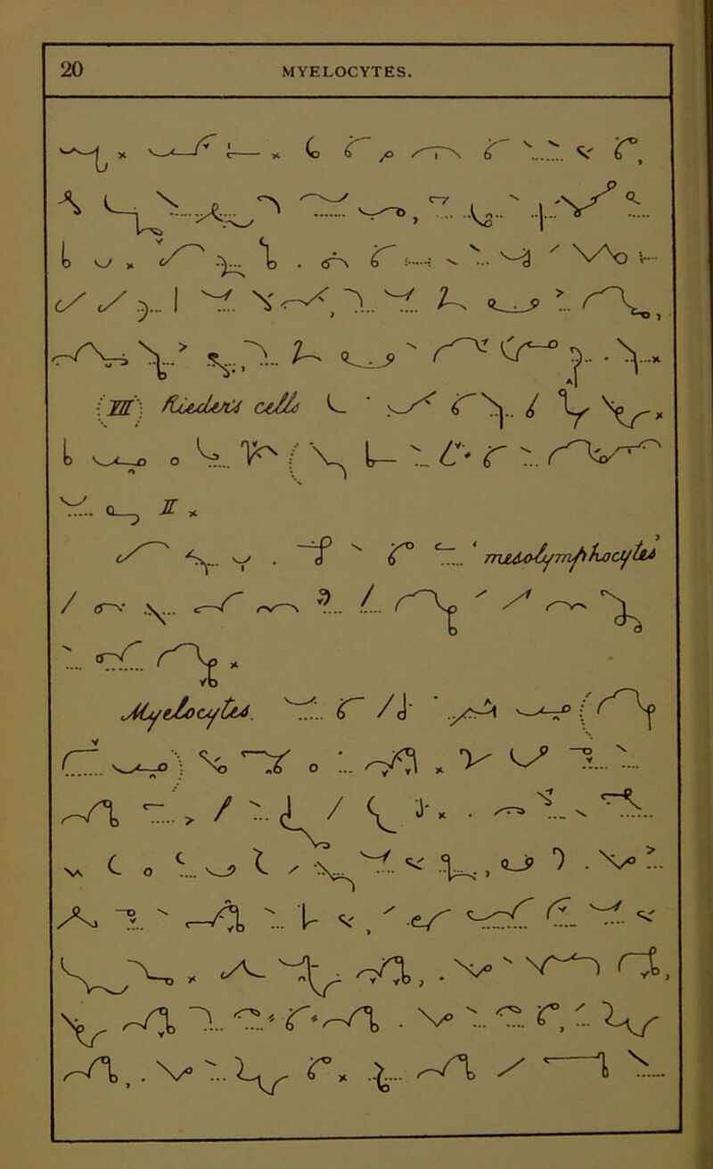 x ^ i * C 6 jo /^PN 6 \..7. V a v..k\^ -•>.■' v'-A - L ^ » </^ \ . <fS C '-■■■>. »v • ^3 x N*Ao v— 6/ c/ .>. I A. \'^, A A. u w > -A. Y ,VA. A w ' Cr- ^ . V [JE fLuduC* uXh * A ^N. / *\y , (> o A. Vr'(\ U ^ C* r ». AA V.. JL * «/” ' ^... w . ~ cP '' *71. 7TiM&h/rriphj)cyt&i / . .. v A~ ». ' 'V ' ' Ot * Jlyttocytu. PP C~ /J C. ^v>) i... - -a t.> / -j / j., . a.. v t . '.^l / % ^Pi ^ ^ 1 ^ ’■• A, -?_ ' ,-A '.. V V ,  *s <1 pi « ^ P^ ^n, .'v' v'A rj, -a -> rvn ■ \*' p r, r. v.v- .- a,. '•-/>'...\r r, ,^_^n / •—i >_