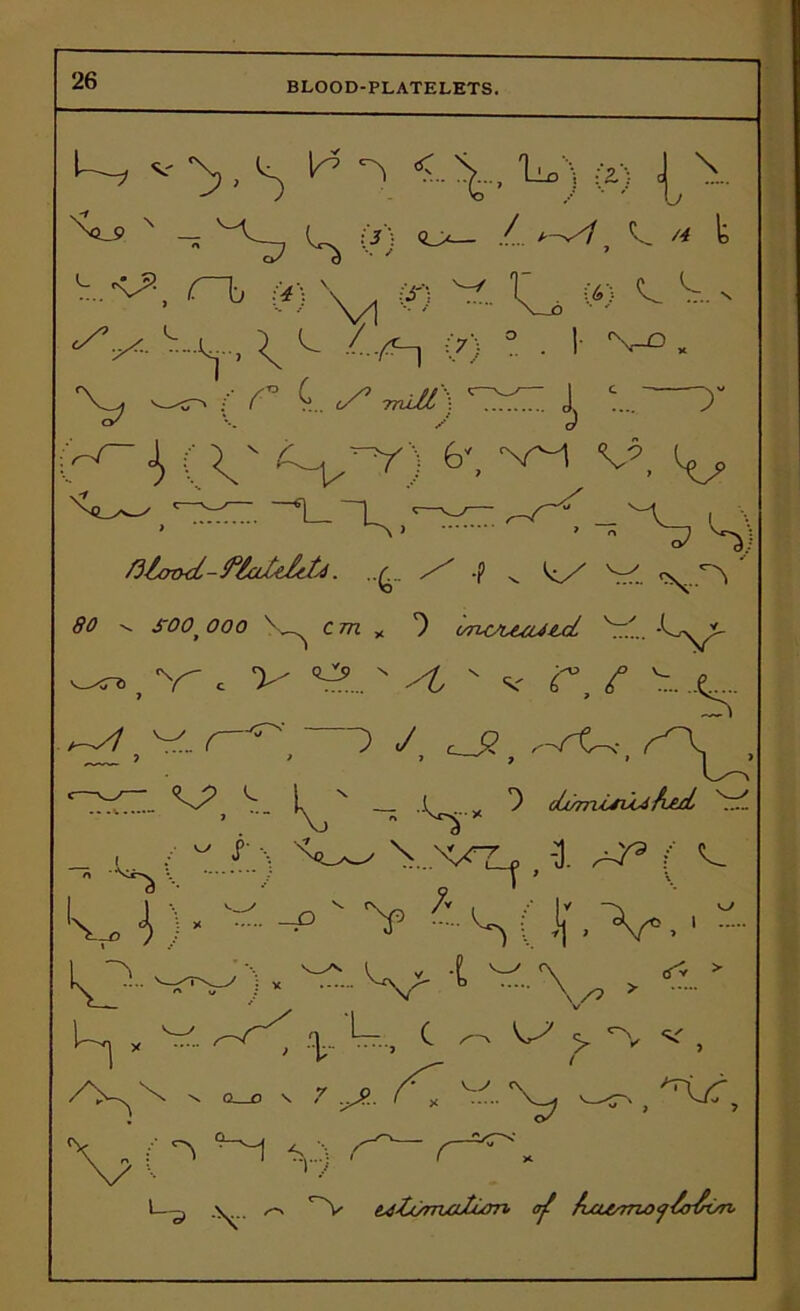 BLOOD-PLATELETS. U-^ V ^ H ^ W\ (Z) ^ \ ^-9 N - (/) /.. ^ -■■V1. r\ (t)^ 0 - W ^ ^ ^ ^^ \ ^ /-/^n (7) ° ■ I- V3. ^ :■• r c. ^ wr) j^ ...—y K J> (v *>\ vy v?, ^ fl/yOTMjt-Plaltlttd. ..£_ •? v ^ 80 ^ jrOO' 000 ' ^ cm % *) orLC'v&aJ&d V'.. -Lyx?- , v c v y9...N v <r, / r-^', ) y, c_2, ^rC-f, ‘yyy. <y^Jj S._ x x D oLumij^ h&i ^ « , - r \ \ .vy -1 ^r9 { <y  \ / || » Lji - w •- ' 'V ^-S(J|.'V.'' - 'TU\ •o- X ^ ^ U, c vy > -v v \ \ Q O \ v_y (> -i v) r^. L.^ ^ -V e^Zunzatum of /uurf7U>jZoJrOn