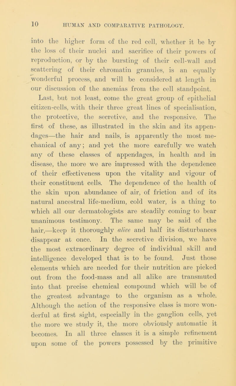into the liigher form of the red cell, whether it be by the loss of their nuclei and sacrifice of their powers of rej^roduction, or by the bursting of their cell-wall and scattering of their chromatin granules, is an equally wonderful process, and will be considered at length in our discussion of the anemias from the cell standpoint. Last, but not least, come the great grouj) of epithelial citizen-cells, with their three great lines of specialisation, the protective, the secretive, and the responsive. The first of these, as illustrated in the skin and its appen- dages—the hair and nails, is apparently the most me- chanical of any; and yet the more carefully we watch any of these classes of appendages, in health and in disease, the more we are impressed with the dependence of their effectiveness upon the vitality and vigour of their constituent cells. The dependence of the health of the skin upon abundance of air, of friction and of its natural ancestral life-medium, cold water, is a thing to which all our dermatologists are steadily coming to bear unanimous testimony. The same may be said of the hair,—keep it thoroughly alke and half its disturbances disappear at once. In the secretive division, we have the most extraordinary degree of individual skill and intelligence developed that is to be found. Just those elements which are needed for their nutrition are picked out from the food-mass and all alike are transmuted into that precise chemical compound which will be of the greatest advantage to the organism as a whole. Although the action of the responsive class is more won- derful at first sight, especially in the ganglion cells, yet the more we study it, the more obviously automatic it becomes. In all three classes it is a simple refinement upon some of the powers possessed by the primitive