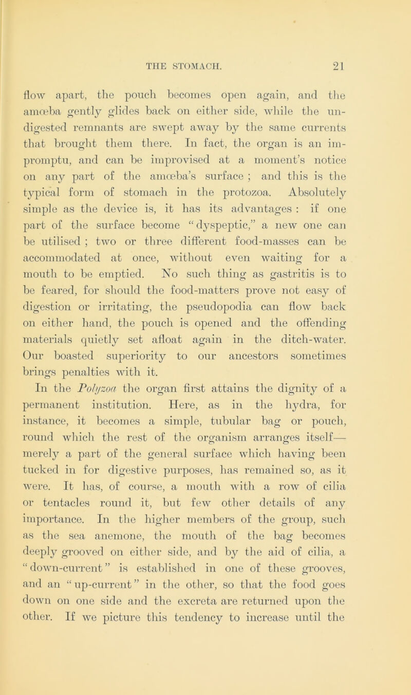 flow apart, tlie poiicli bocoines open again, and the amoeba gently glides back on either side, while the un- digested remnants are swept away by the same currents that brought them there. In fact, the organ is an im- promptn, and can be improvised at a moment’s notice on any part of the amoeba’s surface ; and this is the typical form of stomach in the protozoa. Absolutely simple as the device is, it has its advantages : if one part of the surface become “ dyspeptic,” a new one can be utilised ; two or three different food-masses can be accommodated at once, without even waiting for a mouth to be emptied. No such thing as gastritis is to be feared, for should the food-matters prove not easy of digestion or irritating, the pseudopodia can flow back on either hand, the pouch is opened and the offending materials quietly set afloat again in the ditch-water. Our boasted superiority to our ancestors sometimes brings penalties with it. In the Fohjzoa the organ first attains the dignity of a permanent institution. Here, as in the hydra, for instance, it becomes a simple, tubular bag or pouch, round wliich the rest of the orofanism arranofes itself— merely a part of the general surface which having been tucked in for digestive purposes, has remained so, as it were. It has, of course, a mouth with a row of cilia or tentacles round it, but few other details of any importance. In the higher members of the group, such as the sea anemone, the mouth of the bag becomes deeply grooved on either side, and by the aid of cilia, a “ down-current ” is established in one of tliese grooves, and an “ up-current ” in the otlier, so that the food goes down on one side and the excreta are returned upon the other. If we picture this tendency to increase until the