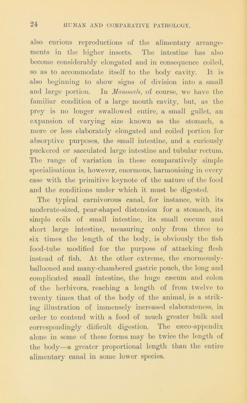 also curious reproductions of tlie alimentary arrange- ments in the higher insects. The intestine has also become considerably elongated and in consequence coiled, so as to accommodate itself to the body cavity. It is also beginning to show signs of division into a small and large portion. In 3Iammals, of course, we have the familiar condition of a large mouth cavity, but, as the prey is no longer swallowed entire, a small gullet, an expansion of varying size known as the stomach, a more or less elaborately elongated and coiled jDortion for absorptive purposes, the small intestine, and a curiousl}’ puckered or sacculated large intestine and tubular rectum. The range of variation in these comparatively simple specialisations is, however, enormous, harmonising in every case with the primitive keynote of the nature of the food and the conditions under which it must be digested. The typical carnivorous canal, for instance, with its moderate-sized, pear-shaped distension for a stomach, its simple coils of small intestine, its small cmcuni and short large intestine, measuring only from three to six times the length of the body, is obviously the hsh food-tube modified for the purpose of attacking flesh instead of fish. At the other extreme, the enormouslv- ballooned and many-chambered gastric pouch, the long and complicated small intestine, the huge caecum and colon of the herbivora, reaching a length of from twelve to twenty times that of the body of the animal, is a strik- ing illu.stration of immensely increased elaborateness, in order to contend with a food of much greater bulk and correspondingly diilicult digestion. The ca3CO-appendix alone in some of these forms may be twice the length of the body—a greater proportional length than the entire alimentary canal in some lower species.