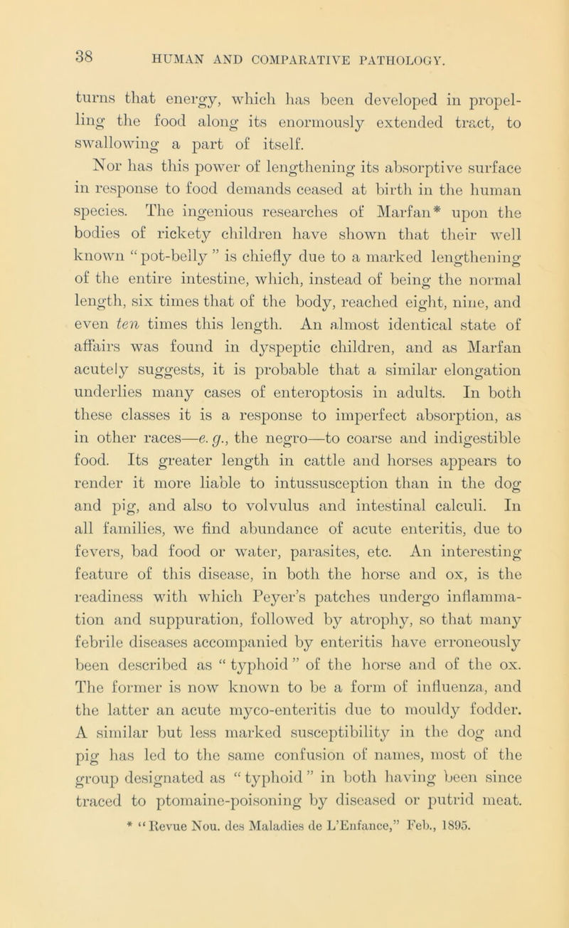 turns that energy, whicli has been developed in propel- ling the food along its enormously extended tra.ct, to swallowing a jiart of itself. Nor has this power of lengthening its absorptive surface in response to food demands ceased at birth in the human species. The ingenious researches of Marfan* upon the bodies of rickety children have shown that their well known “pot-belly ” is chiefly due to a marked lengthening of the entire intestine, which, instead of being the normal length, six times that of the body, reached eiglit, nine, and even ten times this length. An almost identical state of affairs was found in dyspeptic children, and as Marfan acutely suggests, it is probable that a similar elongation underlies many cases of enteroptosis in adults. In both these classes it is a response to imperfect absorption, as in other races—e. g., the negro—to coarse and indigestible food. Its greater length in cattle and horses appears to render it more liable to intussusception than in the dog and pig, and also to volvulus and intestinal calculi. In all families, we find abundance of acute enteritis, due to fevers, bad food or water, parasites, etc. An interesting feature of this disease, in both the horse and ox, is the readiness with which Peyer’s patches undergo inflamma- tion and suppuration, followed by atrophy, so that many febrile diseases accompanied by enteritis have erroneously been described as “ typhoid ” of the liorse and of the ox. Tlie former is now known to be a form of influenza, and the latter an acute myco-enteritis due to mouldy fodder. A similar but less marked susceptibility in the dog and pig has led to the same confusion of names, most of the group designated as “ typhoid ” in both having been since traced to ptomaine-poisoning by diseased or putrid meat. * “lievue Nou. des Maladies de L’Enfance,” Fel)., 1895.