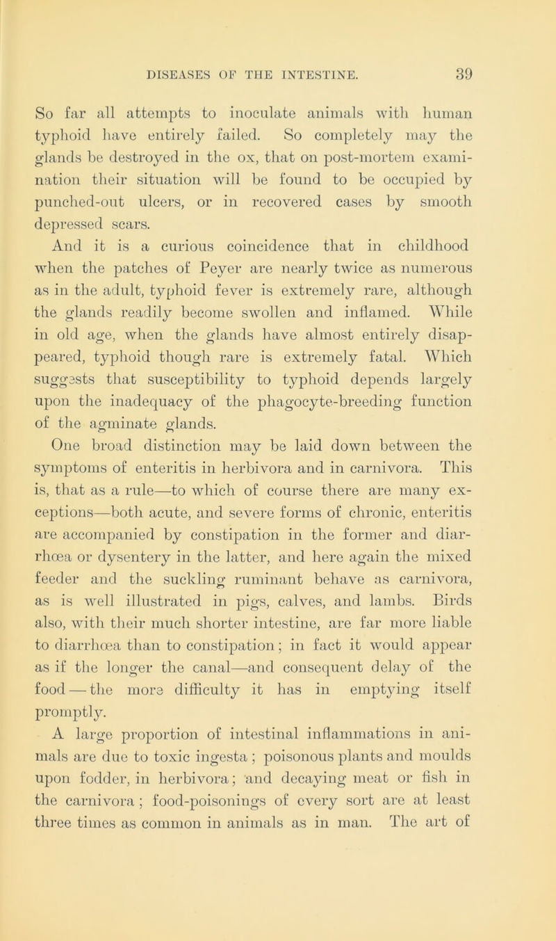 So far all attempts to inoculate animals with Imman typhoid have entirely failed. So completely may the glands be destroyed in the ox, that on post-mortem exami- nation their situation will be found to be occuj)ied by punched-out ulcers, or in recovered cases by smooth depressed scars. And it is a curious coincidence that in childhood when the patches of Peyer are nearly twice as numerous as in the adult, typhoid fever is extremely rare, although the glands readily become swollen and inflamed. While in old age, when the glands have almost entirely disap- peared, typhoid though rare is extremely fatal. Which suggests that susceptibility to typhoid depends largely upon the inadequacy of the phagocyte-breeding function of the agminate glands. One broad distinction may be laid down between the symptoms of enteritis in herbivora and in carnivora. This is, that as a rule—to which of course there are many ex- ceptions—both acute, and severe forms of chronic, enteritis are accompanied by constipation in the former and diar- rhoea or dysentery in the latter, and here again the mixed feeder and the suckling ruminant behave as carnivora, as is well illustrated in pigs, calves, and lambs. Birds also, with tlieir much shorter intestine, are far more liable to diarrhoea than to constipation; in fact it would apjiear as if the longer the canal—and conse({uent delay of the food — the more difficulty it has in emptying itself promptly. A large proportion of intestinal inflammations in ani- mals are due to toxic ingesta ; poisonous plants and moulds upon fodder, in herbivora; and decaying meat or flsh in the carnivora ; food-j)oisonings of every sort are at least three times as common in animals as in man. The art of