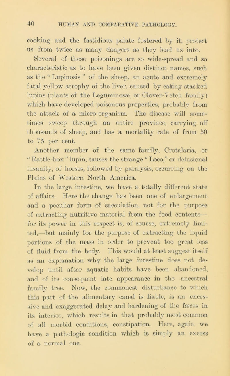 cooking and the fastidious palate fostered by it, protect us from twice as many dangers as they lead us into. Several of these poisonings are so wide-spread and so characteristic as to have been given distinct names, such as the “ Lupinosis ” of the sheep, an acute and extremely fatal yellow atrophy of the liv^er, caused by eating stacked lupins (plants of the Leguminosoe, or Clover-Vetch family) which have developed poisonous properties, probably from the attack of a micro-organism. The disease will some- times sweep through an entire province, carrying off thousands of sheep, and has a mortality rate of from 50 to 75 per cent. Anotlier member of the same family, Crotalaria, or “ Ivattle-box ” lupin, causes the strange “ Loco,” or delusional insanity, of horses, followed by paralysis, occurring on the Plains of Western North America. In the large intestine, we have a totally difterent state of affairs. Here the change has been one of enlargement and a peculiar form of sacculation, not for the purpose of extracting nutritive material from the food contents—- for its power in this respect is, of course, extremely limi- ted,—but mainly for the purpose of extracting the liquid portions of the mass in order to prevent too great loss of fluid from the body. This would at least suggest itself as an explanation why the large intestine does not de- velop until after aquatic habits have been abandoned, and of its consecpient late appearance in the ancestral family tree. Now, the commonest disturbance to which this part of the alimentary canal is liable, is an exces- sive and exaggerated delay and hardening of the fasces in its interior, which results in that probably most common of all morbid conditions, constipation. Here, again, we have a pathologic condition which is simply an excess of a normal one.