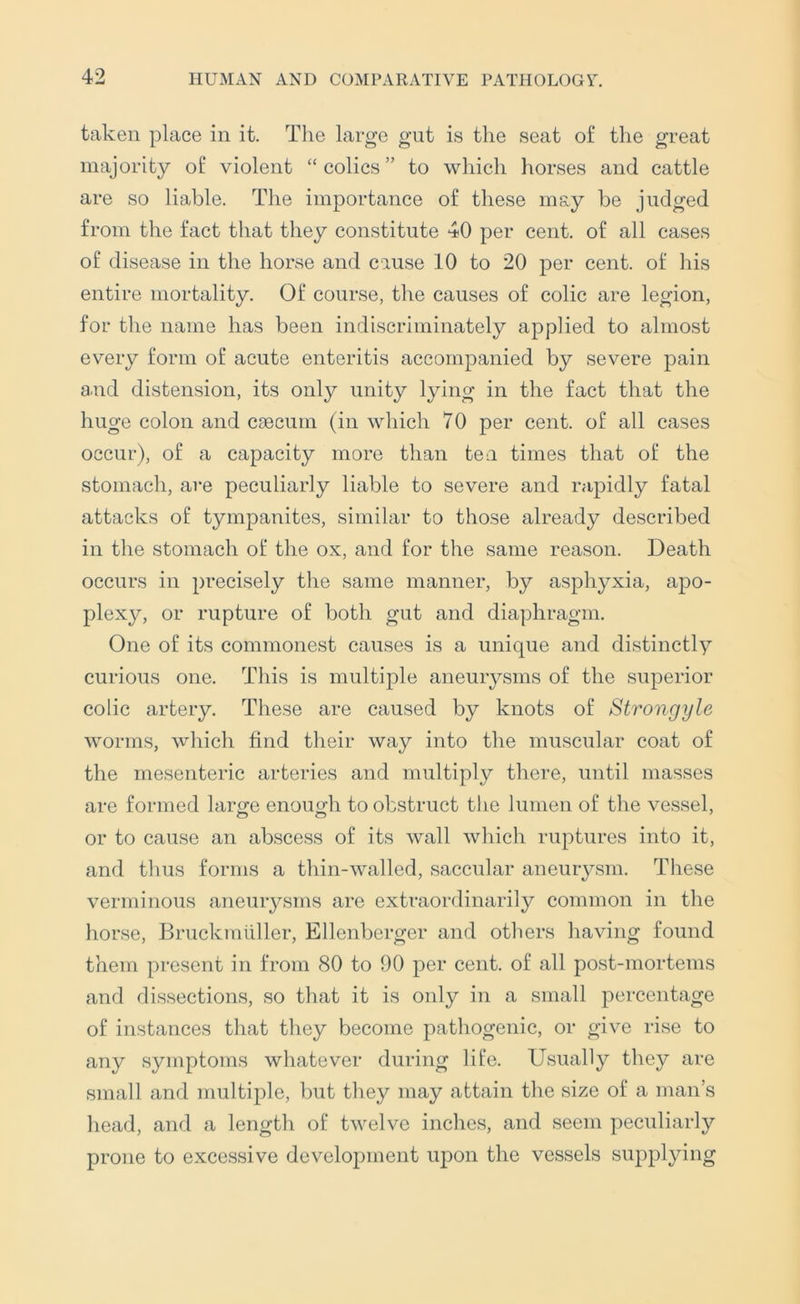 taken place in it. The large gut is the seat of the great majority of violent “ colics ” to which horses and cattle are so liable. The importance of tliese may be judged from the fact that they constitute 40 per cent, of all cases of disease in the horse and cause 10 to 20 per cent, of his entire mortality. Of course, the causes of colic are legion, for the name has been indiscriminately applied to almost every form of acute enteritis accompanied by severe pain and distension, its only unity lying in the fact that the huge colon and caecum (in which 70 per cent, of all cases occur), of a capacity more than ten times that of the stomach, are peculiarly liable to severe and rapidly fatal attacks of tympanites, similar to those already described in the stomach of the ox, and for the same reason. Death occurs in precisely the same manner, by asphyxia, apo- plexy, or rupture of both gut and diaphragm. One of its commonest causes is a unique and distinctly curious one. This is multiple aneurysms of the superior colic artery. These are caused by knots of Strongyle worms, which find their way into the muscular coat of the mesenteric arteries and multiply there, until masses are formed lara;e enouo;h to obstruct tlie lumen of the vessel, or to cause an abscess of its wall which ruptures into it, and thus forms a thin-walled, saccular aneurysm. These verminous aneuiysms are extraordinarily common in the horse, Bruckmliller, Ellenberger and others having found them present in from 80 to 90 per cent, of all post-mortems and dissections, so that it is only in a small percentage of instances that they become pathogenic, or give rise to any symptoms whatever during life. Usually they are small and multiple, but they may attain the size of a man’s head, and a length of twelve inches, and seem peculiarly prone to excessive development upon the vessels supplying