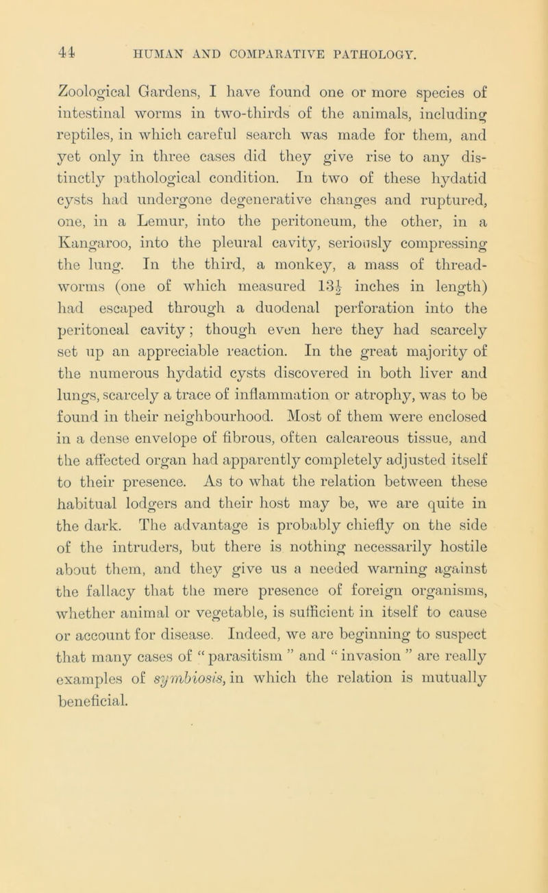 Zoological Gardens, I liave found one or more species of intestinal worms in two-thirds of the animals, including reptiles, in which careful search was made for them, and yet only in three cases did they give rise to any dis- tinctl}^ pathological condition. In two of these hydatid cysts had undergone degenerative changes and ruptured, one, in a Lemur, into the peritoneum, the other, in a Kangaroo, into the pleural cavity, seriously compressing the lung. In the third, a monkey, a mass of thread- worms (one of which measured 13^ inches in length) had escaped through a duodenal perforation into the peritoneal cavity; though even here they had scarcely set up an appreciable reaction. In the great majority of the numerous hydatid cysts discovered in both liver and lungs, scarcely a trace of inflammation or atrophy, was to be found in their neighbourhood. Most of them were enclosed in a dense envelope of fibrous, often calcareous tissue, and the affected organ had apparently completely adjusted itself to their presence. As to what the relation between these habitual lodgers and their host may be, we are quite in the dark. The advantage is probably chiefly on the side of the intruders, but there is nothing necessarily hostile about them, and they give us a needed warning against the fallacy that tlie mere presence of foreign organisms, whether animal or vegetable, is sulflcient in itself to cause or account for disease. Indeed, we are beginning to suspect that many cases of “ parasitism ” and “ invasion ” are really examples of symbiosis, in which the relation is mutually beneficial.