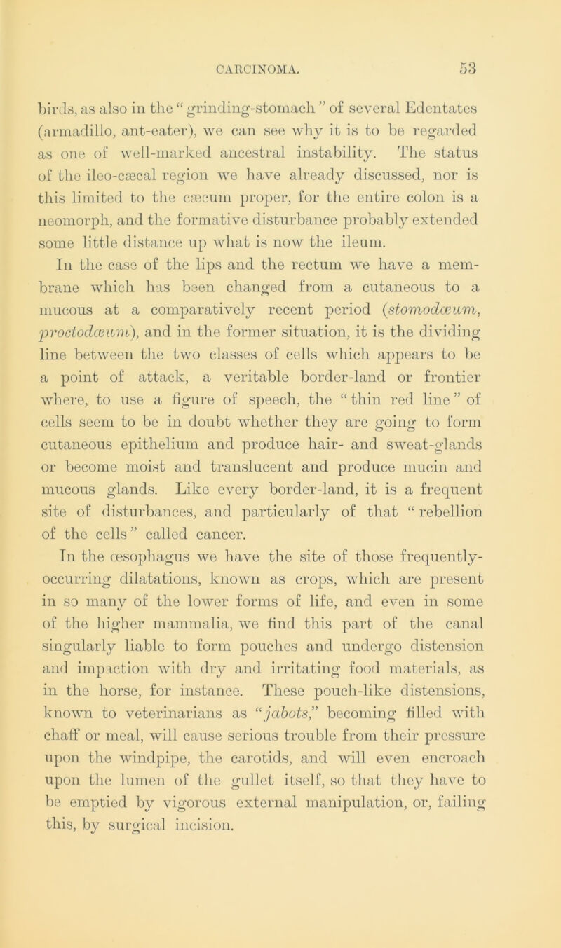 birJ.s, as also in tlie “ grind in o’-stoinacli ” of several Edentates (arniadillo, ant-eater), we can see why it is to be regarded as one of well-marked ancestral instability. Tlie status of the ileo-csecal region we have already discussed, nor is this limited to the ca3cum proper, for the entire colon is a neomorph, and the formative disturbance probably extended some little distance up what is now the ileum. In the case of the lips and the rectum we have a mem- brane which has been changed from a cutaneous to a mucous at a comparatively recent period (stomodcewm, jiT'Octodccum), and in the former situation, it is the dividing line between the two classes of cells which appears to be a point of attack, a veritable border-land or frontier where, to use a figure of speech, the “ thin red line ” of cells seem to be in doubt whether they are going to form cutaneous epithelium and produce hair- and sweat-glands or become moist and translucent and produce mucin and mucous glands. Like every border-land, it is a frequent site of disturbances, and particularly of that “ rebellion of the cells ” called cancer. In the oesophagus we have the site of those frequently- occurring dilatations, known as crops, which are present in so many of the lower forms of life, and even in some of the liigher mammalia, we find tliis part of the canal singularly liable to form pouclies and undergo distension and impaction with dry and irritating food materials, as in the horse, for instance. These pouch-like distensions, known to veterinarians as “jabots” becoming filled witli chaff or meal, will cause serious trouble from their pressure upon the windpipe, tlie carotids, and will even encroach upon the lumen of the gullet itself, so that they have to be emptied by vigorous external manipulation, or, failing this, by surgical incision.