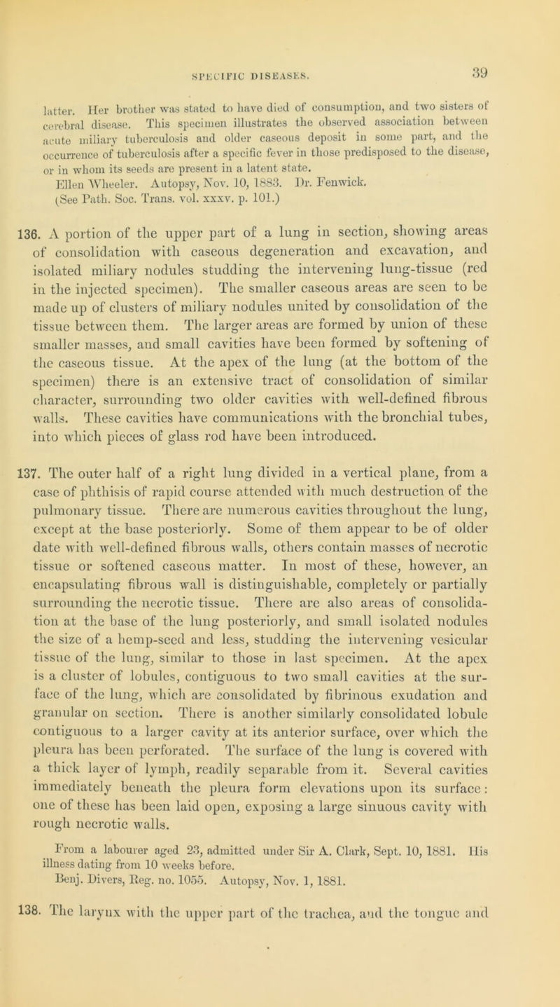 latter. Her brother was stated to have died of consumption, and two sisters of cerebral disease. Tins specimen illustrates the observed association between acute miliary tuberculosis and older caseous deposit in some part, and the occurrence of tuberculosis after a specific fever in those predisposed to the disease, or in whom its seeds are present in a latent state. Ellen Wheeler. Autopsy, Nov. 10, 1883. Dr. Fenwick. (See Path. Soc. Trans, vol. xxxv. p. 101.) 136. A portion of the upper part of a lung in section, showing areas of consolidation with caseous degeneration and excavation, and isolated miliary nodules studding the intervening lung-tissue (red in the injected specimen). The smaller caseous areas are seen to be made up of clusters of miliary nodules united by consolidation of the tissue between them. The larger areas are formed by union of these smaller masses, and small cavities have been formed by softening of the caseous tissue. At the apex of the lung (at the bottom of the specimen) there is an extensive tract of consolidation of similar character, surrounding two older cavities with well-defined fibrous walls. These cavities have communications with the bronchial tubes, into which pieces of glass rod have been introduced. 137. The outer half of a right lung divided in a vertical plane, from a case of phthisis of rapid course attended with much destruction of the pulmonary tissue. There are numerous cavities throughout the lung, except at the base posteriorly. Some of them appear to be of older date with well-defined fibrous walls, others contain masses of necrotic tissue or softened caseous matter. In most of these, however, an encapsulating fibrous wall is distinguishable, completely or partially surrounding the necrotic tissue. There arc also areas of consolida- tion at the base of the lung posteriorly, and small isolated nodules the size of a hemp-seed and less, studding the intervening vesicular tissue of the lung, similar to those in last specimen. At the apex is a cluster of lobules, contiguous to two small cavities at the sur- face of the lung, which are consolidated by fibrinous exudation and granular on section. There is another similarly consolidated lobule contiguous to a larger cavity at its anterior surface, over which the pleura has been perforated. The surface of the lung is covered with a thick layer of lymph, readily separable from it. Several cavities immediately beneath the pleura form elevations upon its surface: one of these has been laid open, exposing a large sinuous cavity with rough necrotic walls. From a labourer aged 23, admitted under Sir A. Clark, Sept. 10, 1881. llis illness dating from 10 weeks before. Benj. Divers, Reg. no. 1055. Autopsy, Nov. 1, 1881. 138. The larynx with the upper part of the trachea, and the tongue and