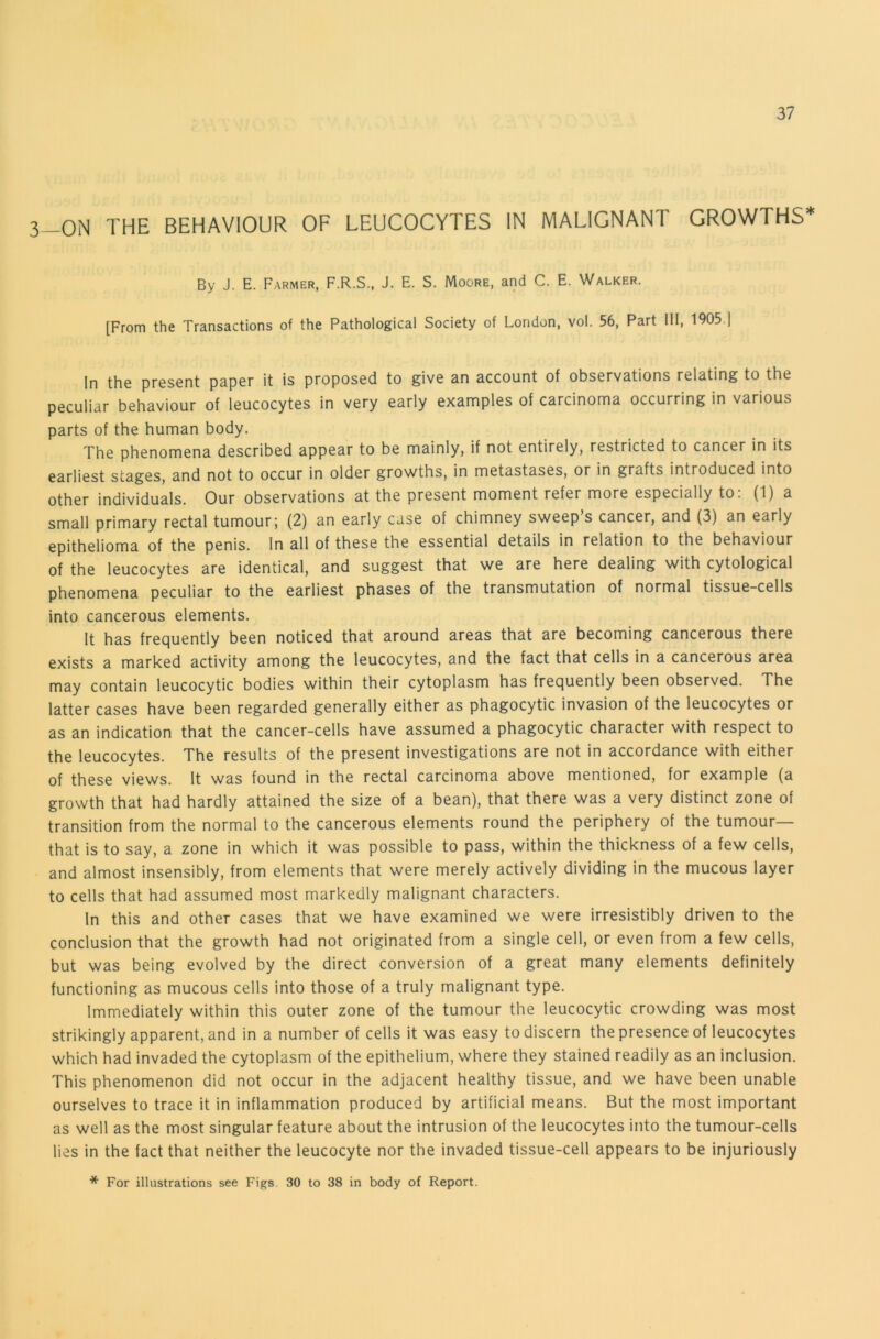 3_0N the behaviour of leucocytes in malignant growths* By J. E. Farmer, F.R.S., J. E. S. Moore, and C. E. Walker. [From the Transactions of the Pathological Society of London, vol. 56, Part III, 1905.) In the present paper it is proposed to give an account of observations relating to the peculiar behaviour of leucocytes in very early examples of carcinoma occurring in various parts of the human body. The phenomena described appear to be mainly, if not entirely, restricted to cancer in its earliest stages, and not to occur in older growths, in metastases, or in grafts introduced into other individuals. Our observations at the present moment refer more especially to. (1) a small primary rectal tumour; (2) an early case of chimney sweep’s cancer, and (3) an early epithelioma of the penis. In all of these the essential details in relation to the behaviour of the leucocytes are identical, and suggest that we are here dealing with cytological phenomena peculiar to the earliest phases of the transmutation of normal tissue-cells into cancerous elements. It has frequently been noticed that around areas that are becoming cancerous there exists a marked activity among the leucocytes, and the fact that cells in a cancerous area may contain leucocytic bodies within their cytoplasm has frequently been observed. The latter cases have been regarded generally either as phagocytic invasion of the leucocytes or as an indication that the cancer-cells have assumed a phagocytic character with respect to the leucocytes. The results of the present investigations are not in accordance with either of these views. It was found in the rectal carcinoma above mentioned, for example (a growth that had hardly attained the size of a bean), that there was a very distinct zone of transition from the normal to the cancerous elements round the periphery of the tumour— that is to say, a zone in which it was possible to pass, within the thickness of a few cells, and almost insensibly, from elements that were merely actively dividing in the mucous layer to cells that had assumed most markedly malignant characters. In this and other cases that we have examined we were irresistibly driven to the conclusion that the growth had not originated from a single cell, or even from a few cells, but was being evolved by the direct conversion of a great many elements definitely functioning as mucous cells into those of a truly malignant type. Immediately within this outer zone of the tumour the leucocytic crowding was most strikingly apparent, and in a number of cells it was easy to discern the presence of leucocytes which had invaded the cytoplasm of the epithelium, where they stained readily as an inclusion. This phenomenon did not occur in the adjacent healthy tissue, and we have been unable ourselves to trace it in inflammation produced by artificial means. But the most important as well as the most singular feature about the intrusion of the leucocytes into the tumour-cells lies in the fact that neither the leucocyte nor the invaded tissue-cell appears to be injuriously * For illustrations see Figs 30 to 38 in body of Report.