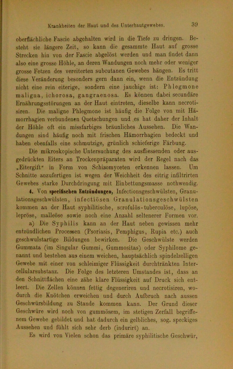 oberflächliche Fascie abgehalten wird in die Tiefe zu dringen. Be- steht sie längere Zeit, so kann die gesamrate Haut auf grosse Strecken hin von der Fascie abgelöst werden und man lindet dann also eine grosse Höhle, an deren Wandungen noch mehr oder weniger grosse Fetzen des vereiterten subcutanen Gewebes hängen. Es tritt diese Veränderung besonders gern dann ein, wenn die Entzündung nicht eine rein eiterige, sondern eine jauchige ist: Phlegmone maligna, ichorosa, gangraenosa. Es können dabei secundäre Ernährungsstörungen an der Haut eintreten, dieselbe kann necroti- siren. Die maligne Phlegmone ist häußg die Folge von mit Hä- morrhagien verbundenen Quetschungen und es hat daher der Inhalt der Höhle oft ein missfarbiges bräunliches Aussehen. Die Wan- dungen sind häufig noch mit frischen Hämorrhagien bedeckt und haben ebenfalls eine schmutzige, grünlich schieferige Färbung. Die mikroskopische Untersuchung des ausfliessenden oder aus- gedrückten Eiters an Trockenpräparaten wird der Regel nach das „Eitergift“ in Form von Schizomyceten erkennen lassen. Um Schnitte anzufertigen ist wegen der Weichheit des eitrig inßltrirten Gewebes starke Durchdringung mit Einbettungsmasse nothwendig. 4. Von specifischen Entzündungen, Infectionsgeschwülsten, Granu- lationsgeschwülsten, infectiösen Granulationsgeschwülsten kommen an der Haut syphilitische, scrofulös-tuberculöse, iupöse, lepröse, malleöse sowie noch eine Anzahl seltenerer Formen vor. a) Die Syphilis kann an der Haut neben gewissen mehr entzündlichen Processen (Psoriasis, Pemphigus, Rupia etc.) auch geschwulstartige Bildungen bewirken. Die Geschwülste werden Gumraata (im Singular Gummi, Gumraositas) oder Syphilome ge- nannt und bestehen aus einem weichen, hauptsächlich spindelzelligen Gewebe mit einer von schleimiger Flüssigkeit durchtränkten Inter- cellularsubstanz. Die Folge des letzteren Umstandes ist, dass an den Schnittflächen eine zähe klare Flüssigkeit auf Druck sich ent- leert. Die Zellen können fettig degeneriren und necrotisiren, wo- durch die Knötchen erweichen und durch Aufbruch nach aussen Geschwürsbildung zu Stande kommen kann. Der Grund dieser Geschwüre wird noch von gummösem, im stetigen Zerfall begriffe- nem Gewebe gebildet und hat dadurch ein gelbliches, sog. speckiges Aussehen und fühlt sich sehr derb (indurirt) an. Es wird von Vielen schon das primäre syphilitische Geschwür,