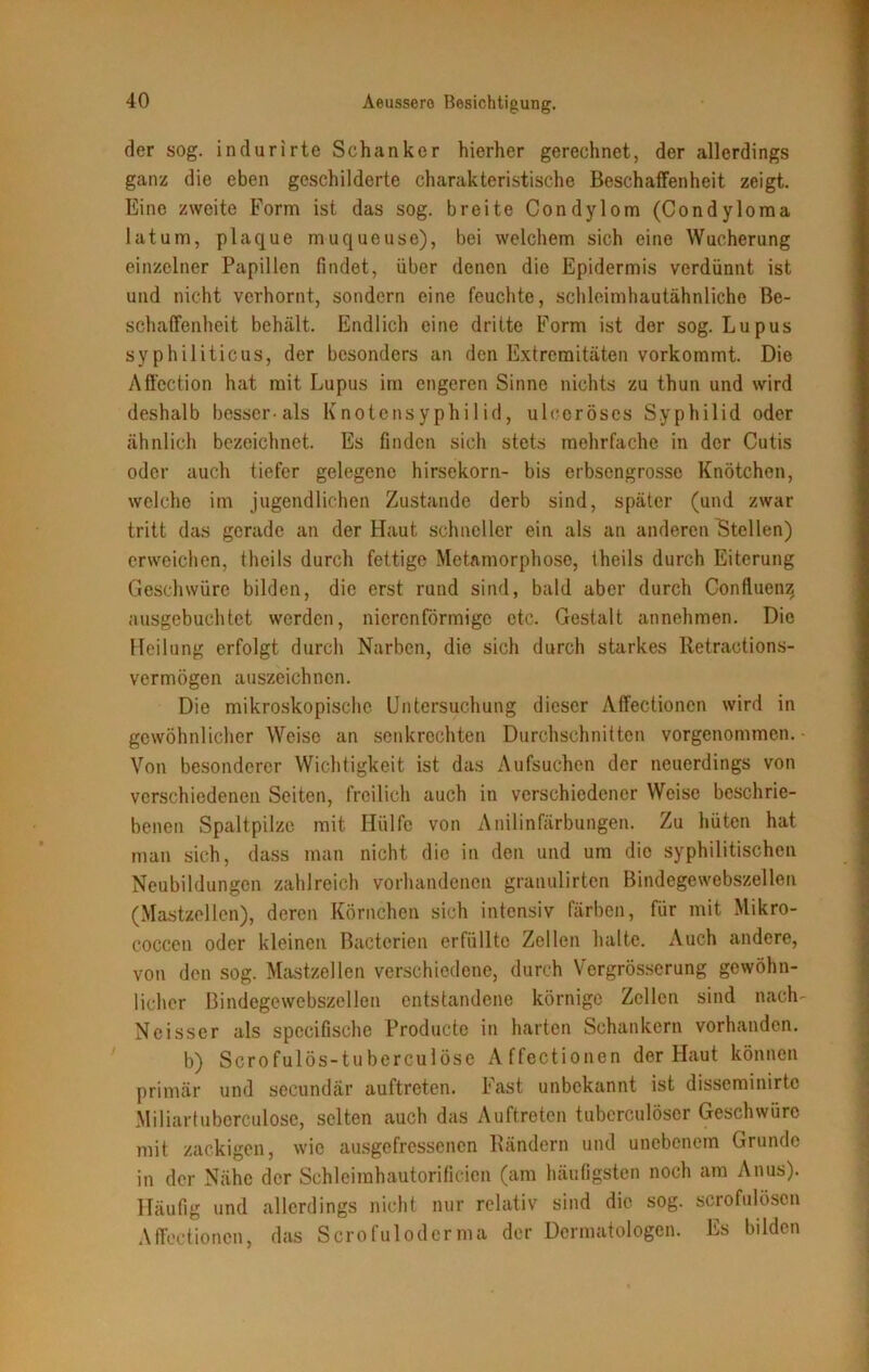 der sog. indurirte Schanker hierher gerechnet, der allerdings ganz die eben geschilderte charakteristische Beschaffenheit zeigt. Eine zweite Form ist das sog. breite Condylom (Condyloma lat um, plaque muqueuse), bei welchem sich eine Wucherung einzelner Papillen findet, über denen die Epidermis verdünnt ist und nicht verhornt, sondern eine feuchte, schleimhautähnliche Be- schaffenheit behält. Endlich eine dritte Form ist der sog. Lupus syphiliticus, der besonders an den Extremitäten vorkommt. Die Affection hat mit Lupus im engeren Sinne nichts zu thun und wird deshalb besser-als Knotensyphilid, uleeröses Syphilid oder ähnlich bezeichnet. Es finden sich stets mehrfache in der Cutis oder auch tiefer gelegene hirsekorn- bis erbsengrosso Knötchen, welche im jugendlichen Zustande derb sind, später (und zwar tritt das gerade an der Haut schneller ein als an anderen Stellen) erweichen, theils durch fettige Metamorphose, theils durch Eiterung Geschwüre bilden, die erst rund sind, bald aber durch Confluenz ausgebuchtet werden, nicrcnförmigc etc. Gestalt annehmen. Die Heilung erfolgt durch Narben, die sich durch starkes ltetractions- vermögen auszeichnen. Die mikroskopische Untersuchung dieser Affectionen wird in gewöhnlicher Weise an senkrechten Durchschnitten vorgenommen. Von besonderer Wichtigkeit ist das Aufsuchen der neuerdings von verschiedenen Seiten, freilich auch in verschiedener Weise beschrie- benen Spaltpilze mit Hülfe von Anilinfärbungen. Zu hüten hat man sich, dass man nicht die in den und um die syphilitischen Neubildungen zahlreich vorhandenen granulirten Bindegewebszellen (Mastzellen), deren Körnchen sich intensiv färben, für mit Mikro- coccen oder kleinen Bacterien erfüllte Zellen halte. Auch andere, von den sog. Mastzellen verschiedene, durch Vcrgrösscrung gewöhn- licher Bindegewebszellen entstandene körnige Zellen sind nach- Neisser als spccifischc Producte in harten Schankern vorhanden. b) Scrofulös-tuberculöse Affectionen der Haut können primär und secundär auftreten. hast unbekannt ist disseminirte Miliartubcrculose, selten auch das Auftreten tuberculöscr Geschwüre mit zackigen, wie ausgefressenen Rändern und unebenem Grunde in der Nähe der Schleimhautorificien (am häufigsten noch am Anus). Häufig und allerdings nicht nur relativ sind die sog. scrofulöson Affectionen, das Scrofulodernia der Dermatologen. Es bilden