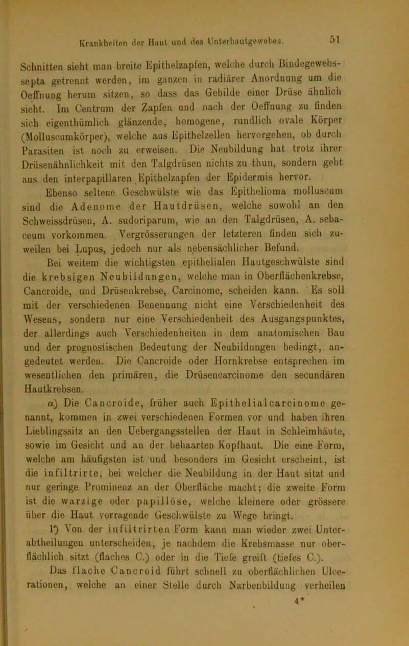 Schnitten sieht man breite Epithelzapfen, welche durch Bindegewebs- septa getrennt werden, im ganzen in radiärer Anordnung um die Oeffnung herum sitzen, so dass das Gebilde einer Drüse ähnlich sieht. Im Centrum der Zapfen und nach der Oeffnung zu finden sich eigentümlich glänzende, homogene, rundlich ovale Körper (Molluscumkörper), welche aus Epithelzellen hervorgehen, ob durch Parasiten ist noch zu erweisen. Die Neubildung hat trotz ihrer Drüsenähnlichkeit mit den Talgdrüsen nichts zu thun, sondern geht aus den interpapillaren vEpithelzapfen der Epidermis hervor. Ebenso seltene Geschwülste wie das Epithelioma molluscum sind die Adenome der Hautdrüsen, welche sowohl an den Schweissdrüsen, A. sudori parum, wie an den Talgdrüsen, A. seba- ceum Vorkommen. Vergrösserungen der letzteren finden sich zu- weilen bei Lupus, jedoch nur als nebensächlicher Befund. Bei weitem die wichtigsten epithelialen Hautgeschwülste sind die krebsigen Neubildungen, welche man in Oberflächenkrebse, Cancroide, und Drüsenkrebse, Carcinome, scheiden kann. Es soll mit der verschiedenen Benennung nicht eine Verschiedenheit des Wesens, sondern nur eine Verschiedenheit des Ausgangspunktes, der allerdings auch Verschiedenheiten in dem anatomischen Bau und der prognostischen Bedeutung der Neubildungen bedingt, an- gedeutet werden. Die Cancroide oder Hornkrebse entsprechen im wesentlichen den primären, die Drüsencarcinome den secundären Hautkrebsen. a) Die Cancroide, früher auch Epithelialcarcinome ge- nannt, kommen in zwei verschiedenen Formen vor und haben ihren Lieblingssitz an den Uebergangsstellen der Haut in Schleimhäute, sowie im Gesicht und an der behaarten Kopfhaut. Die eine Form, welche am häufigsten ist und besonders im Gesicht erscheint, ist die infiltrirte, bei welcher die Neubildung in der Haut sitzt und nur geringe Prominenz an der Oberfläche macht; die zweite Form ist die warzige oder papillöse, welche kleinere oder grössere über die Haut vorragende Geschwülste zu Wege bringt. V) Von der infiltrirten Form kann man wieder zwei Unter- abtheilungeu unterscheiden, je nachdem die Krebsmasse nur ober- flächlich sitzt (flaches C.) oder in die Tiefe greift (tiefes C.). Das flache Cancroid führt schnell zu oberflächlichen Ulce- rationen, welche an einer Stelle durch Narbenbildung verheilen 4*