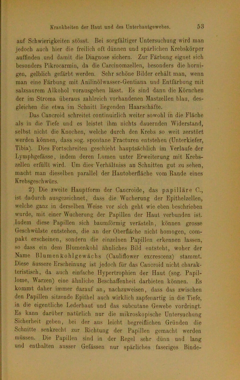 auf Schwierigkeiten stösst. Bei sorgfältiger Untersuchung wird man jedoch auch hier die freilich oft dünnen und spärlichen Krebskörper auffinden und damit die Diagnose sichern. Zur Färbung eignet sich besonders Pikrocarmin, da die Carcinomzellen, besonders die horni- gen, gelblich gefärbt werden. Sehr schöne Bilder erhält man, wenn man eine Färbung mit Anilinölwasser-Gentiana und Entfärbung mit salzsaurem Alkohol vorausgehen lässt. Es sind dann die Körnchen der im Stroma überaus zahlreich vorhandenen Mastzellen blau, des- gleichen die etwa im Schnitt liegenden Haarschäfte. Das Cancroid schreitet continuirlich weiter sowohl in die Fläche als in die Tiefe und es leistet ihm nichts dauernden Widerstand, selbst nicht die Knochen, welche durch den Krebs so weit zerstört werden können, dass sog. spontane Fracturen entstehen (Unterkiefer, Tibia). Dies Fortschreiten geschieht hauptsächlich im Verlaufe der Lymphgefässe, indem deren Lumen unter Erweiterung mit Krebs- zellen erfüllt wird. Um dies Verhältniss an Schnitten gut zu sehen, macht man dieselben parallel der Hautoberfläche vom Rande eines Krebsgeschwürs. 2) Die zweite Hauptform der Cancroide, das papilläre C., ist dadurch ausgezeichnet, dass die Wucherung der Epithelzellen, welche ganz in derselben Weise vor sich geht wie eben beschrieben wurde, mit einer Wucherung der Papillen der Haut verbunden ist. Indem diese Papillen sich baumförmig verästeln, können grosse Geschwülste entstehen, die an der Oberfläche nicht homogen, com- pakt erscheinen, sondern die einzelnen Papillen erkennen lassen, so dass ein dem Blumenkohl ähnliches Bild entsteht, woher der Name Blumenkohlgewächs (Cauliflower excrescenz) stammt. Diese äussere Erscheinung ist jedoch für das Cancroid nicht charak- teristisch, da auch einfache Hypertrophien der Plaut (sog. Papil- lome, Warzen) eine ähnliche Beschaffenheit darbieten können. Es kommt daher immer darauf an, nachzuweisen, dass das zwischen den Papillen sitzende Epithel auch wirklich zapfenartig in die Tiefe, in die eigentliche Lederhaut und das subcutane Gewebe vordringt. PjS kann darüber natürlich nur die mikroskopische Untersuchung Sicherheit geben, bei der aus leicht begreiflichen Gründen die Schnitte senkrecht zur Richtung der Papillen gemacht werden müssen. Die Papillen sind in der Regel sehr dünn und lang und enthalten ausser Gefässen nur spärliches faseriges Binde-