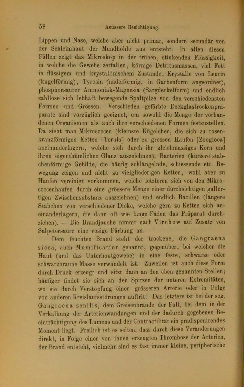 Lippen und Nase, welche aber nicht primär, sondern secundär von der Schleimhaut der Mundhöhle aus entsteht. In allen diesen Fällen zeigt das Mikroskop in der trüben, stinkenden Flüssigkeit, in welche die Gewebe zerfallen, körnige Detritusmassen, viel Fett in flüssigem und krystallinischem Zustande, Krystalle von Leucin (kugelförmig), Tyrosin (nadelförmig, in Garbenform angeordnet), phosphorsaurer Ammoniak-Magnesia (Sargdeckelform) und endlich zahllose sich lebhaft bewegende Spaltpilze von den verschiedensten Formen und Grössen. Verschieden gefärbte Deckglastrockenprä- parate sind vorzüglich geeignet, um sowohl die Menge der vorhan- denen Organismen als auch ihre verschiedenen Formen festzustellon. Da sieht man Mikrococcen (kleinste Kügelchen, die sich zu rosen- kranzförmigen Ketten [Torula] oder zu grossen Haufen [Zoogloea] aneinanderlagern, welche sich durch ihr gleichmässiges Korn und ihren eigenthüralichen Glanz auszeichnen), Bacterien (kürzere stäb- chenförmige Gebilde, die häufig schlängelnde, schiessende etc. Be- wegung zeigen und nicht zu vielgliederigen Ketten, wohl aber zu Haufen vereinigt Vorkommen, welche letzteren sich von den Mikro- coccenhaufen durch eine grössere Menge einer durchsichtigen galler- tigen Zwischensubstanz auszeichnen) und endlich Bacillen (längere Stäbchen von verschiedener Dicke, welche gern zu Ketten sich an- einanderlagern, die dann oft wie lange Fäden das Präparat durch- ziehen). — Die Brandjauche nimmt nach Virchow auf Zusatz von Salpetersäure eine rosige Färbung an. Dem feuchten Brand steht der trockene, die Gangraena sicca, auch Mumification genannt, gegenüber, bei welcher die Haut (und das Unterhautgewebe) in eine feste, schwarze oder schwarzbraune Masse verwandelt ist. Zuweilen ist auch diese Form durch Druck erzeugt und sitzt dann an den eben genannten Stellen; häufiger findet sie sich an den Spitzen der unteren Extremitäten, wo sie durch Verstopfung einer grösseren Arterie oder in Folge von anderen Kreislaufsstörungen auftritt. Das letztere ist bei der sog. Gangraena senilis, dem Greisenbrande der Fall, bei dem in der Verkalkung der Arterienwandungen und der dadurch gegebenen Be- einträchtigung des Lumens und der Contractilität ein prädisponirendes Moment liegt. Freilich ist es selten, dass durch diese Veränderungen direkt, in Folge einer von ihnen erzeugten Thrombose der Arterien, der Brand entsteht, vielmehr sind es fast immer kleine, peripherische