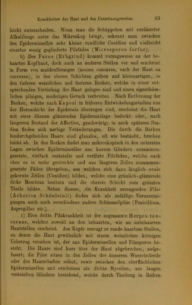leicht unterscheiden. Wenn man die Schüppchen mit. verdünnter Alkalilaugc unter das Mikroskop bringt, erkennt man zwischen den Epidermiszellen sehr kleine rundliche Conidien und vielleicht einzelne wenig gegliederte Pilzfäden (Microsporon furfur). b) Der Favus (Erbgrind) kommt vorzugsweise an der be- haarten Kopfhaut, doch auch an anderen Stellen vor und erscheint in Form von muldenförmigen (aussen concaven, nach der Haut zu convexen), in den oberen Schichten gelben und kleienartigen, in den tieferen weisslichen und festeren Borken, welche in einer ent- sprechenden Vertiefung der Haut gelegen sind und einen eigenthüm- lichen pilzigen, moderigen Gesuch verbreiten. Nach Entfernung der Borken, welche nach Kaposi in früheren Entwickelungsstadien von der Hornschicht der Epidermis überzogen sind, erscheint die Haut mit einer dünnen glänzenden Epidermislage bedeckt oder, nach längerem Bestand der Affection, geschwürig; in noch späteren Sta- dien finden sich narbige Veränderungen. Die durch die Borken hindurchgehenden Haare sind glanzlos, oft wie bestäubt, brechen leicht ab. In den Borken findet man mikroskopisch in den untersten Lagen zwischen Epidermiszellen aus kurzen Gliedern zusammen- gesetzte, vielfach verästelte und verfilzte Pilzfäden, welche nach oben zu in mehr gestreckte und aus längeren Zellen zusammen- gesetzte Fäden übergehen, aus welchen sich dann länglich-ovale gekernte Zellen (Conidien) bilden, welche eine grünlich-glänzende dicke Membran besitzen und die oberste Schicht zum grössten Theile bilden. Neben diesem, die Krankheit erzeugenden Pilze (Achorion Schönleinii) finden sich als zufällige Verunreini- gungen auch noch verschiedene andere Schimmelpilze (Penicillium, Aspergillus etc.). c) Eine dritte Pilzkrankheit ist der sogenannte Herpes ton- surans, welcher sowohl an den behaarten, wie an unbehaarten Hautstellen erscheint. Am Kopfe erzeugt er runde haarlose Stellen, an denen die Haut gewöhnlich mit einem weisslichen körnigen Ueberzug versehen ist, der aus Epidermiszellen und Pilzsporen be- steht. Die Haare sind kurz über der Haut abgebrochen, aufge- fasert: die Pilze sitzen in den Zellen der äusseren Wurzelscheide oder des Haarschaftes selbst, sowie zwischen den oberflächlichen' Epidermiszellen und erscheinen als dichte Mycelien, aus langen verästelten Gliedern bestehend, welche durch Theilung in Reihen