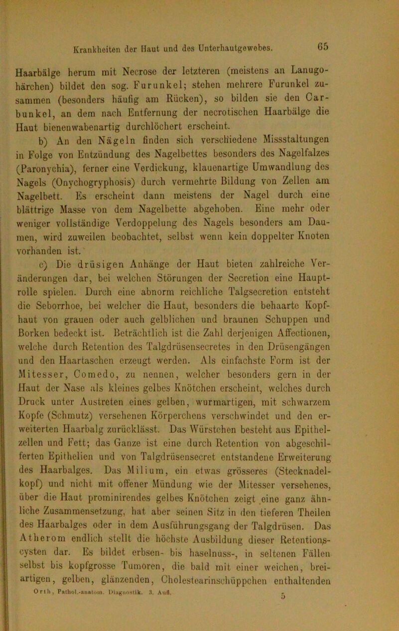 Haarbälge herum mit Necrose der letzteren (meistens an Lanugo- härchen) bildet den sog. Furunkel; stehen mehrere Furunkel zu- sammen (besonders häufig am Rücken), so bilden sie den Car- bunkel, an dem nach Entfernung der necrotischen Haarbälge die Haut bienenwabenartig durchlöchert erscheint. b) x\.n den Nägeln finden sich verschiedene Missstaltungen in Folge von Entzündung des Nagelbettes besonders dos Nagelfalzes (Paronychia), ferner eine Verdickung, klauenartige Umwandlung des Nagels (Onychogryphosis) durch vermehrte Bildung von Zellen am Nagelbett. Es erscheint dann meistens der Nagel durch eine blättrige Masse von dem Nagelbette abgehoben. Eine mehr oder weniger vollständige Verdoppelung des Nagels besonders am Dau- men, wird zuweilen beobachtet, selbst wenn kein doppelter Knoten vorhanden ist. c) Die drüsigen Anhänge der Haut bieten zahlreiche Ver- änderungen dar, bei welchen Störungen der Sccretion eine Haupt- rolle spielen. Durch eine abnorm reichliche Talgsecretion entsteht die Seborrhoe, bei welcher die Haut, besonders die behaarte Kopf- haut von grauen oder auch gelblichen und braunen Schuppen und Borken bedeckt ist. Beträchtlich ist die Zahl derjenigen Affectionen, welche durch Retention des Talgdrüsensecretes in den Drüsengängen und den Haartaschen erzeugt werden. Als einfachste Form ist der Mitesser, Comedo, zu nennen, welcher besonders gern in der Haut der Nase als kleines gelbes Knötchen erscheint, welches durch Druck unter Austreten eines gelben, wurmartigen, mit schwarzem Kopfe (Schmutz) versehenen Körperchens verschwindet und den er- weiterten Haarbalg zurücklässt. Das Würstchen besteht aus Epithel- zellen und Fett; das Ganze ist eine durch Retention von abgeschil- ferten Epithelien und von Talgdriisensecret entstandene Erweiterung des Haarbalges. Das Milium, ein etwas grösseres (Stecknadel- kopf) und nicht mit offener Mündung wie der Mitesser versehenes, über die Haut prominirendes gelbes Knötchen zeigt eine ganz ähn- liche Zusammensetzung, hat aber seinen Sitz in den tieferen Theilen des Haarbalges oder in dem Ausführungsgang der Talgdrüsen. Das Atherom endlich stellt die höchste Ausbildung dieser Retentions- Cysten dar. Es bildet erbsen- bis haselnuss-, in seltenen Fällen selbst bis kopfgrosse Tumoren, die bald mit einer weichen, brei- artigen, gelben, glänzenden, Cholestearinschüppchen enthaltenden Orth, Pntliol.«anatom. Diagnostik. 3. Aufl. p