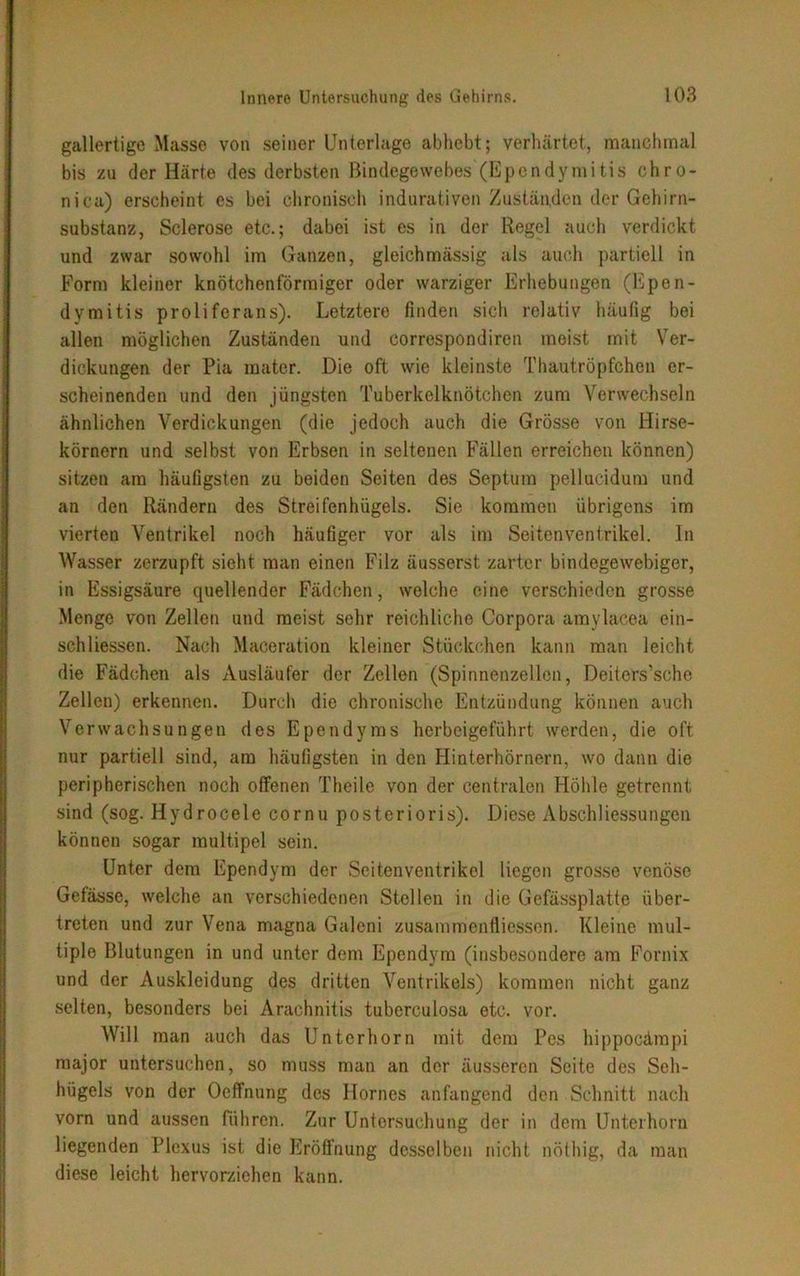 gallertige Masse von seiner Unterlage abhebt; verhärtet, manchmal bis zu der Härte des derbsten Bindegewebes (Ependymitis chro- nica) erscheint es bei chronisch indurativen Zuständen der Gehirn- substanz, Sclerose etc.; dabei ist es in der Regel auch verdickt und zwar sowohl im Ganzen, gleichmässig als auch partiell in Form kleiner knötchenförmiger oder warziger Erhebungen (Epen- dymitis proliferans). Letztere finden sich relativ häufig bei allen möglichen Zuständen und correspondiren meist mit Ver- dickungen der Pia matcr. Die oft wie kleinste Thautröpfchen er- scheinenden und den jüngsten Tuberkelknötchen zum Verwechseln ähnlichen Verdickungen (die jedoch auch die Grösse von Hirse- körnern und selbst von Erbsen in seltenen Fällen erreichen können) sitzen am häufigsten zu beiden Seiten des Septum pellucidum und an den Rändern des Streifenhügels. Sie kommen übrigens im vierten Ventrikel noch häufiger vor als im Seiten Ventrikel. In Wasser zerzupft sieht man einen Filz äusserst zarter bindegewebiger, in Essigsäure quellender Fädchen, welche eine verschieden grosse Menge von Zellen und meist sehr reichliche Corpora amylacea ein- schHessen. Nach Maceration kleiner Stückchen kann man leicht die Fädchen als Ausläufer der Zellen (Spinnenzellen, Deiters’scho Zellen) erkennen. Durch die chronische Entzündung können auch Verwachsungen des Ependyms herbeigeführt werden, die oft nur partiell sind, am häufigsten in den Hinterhörnern, wo dann die peripherischen noch offenen Theile von der centralen Höhle getrennt; sind (sog. Hydrocele cornu postorioris). Diese Abschliessungen können sogar multipel sein. Unter dem Ependym der Seitenventrikel liegen grosse venöse Gefässe, welche an verschiedenen Stellen in die Gefässplatte über- treten und zur Vena magna Galeni zusammenfliessen. Kleine mul- tiple Blutungen in und unter dem Ependym (insbesondere am Fornix und der Auskleidung des dritten Ventrikels) kommen nicht ganz selten, besonders bei Arachnitis tuberculosa etc. vor. Will man auch das Unterhorn mit dem Pes hippoedmpi major untersuchen, so muss man an der äusseren Seite des Seh- hügels von der Ocffnung des Hornes anfangend den Schnitt nach vorn und aussen führen. Zur Untersuchung der in dem Unterhorn liegenden Plexus ist die Eröffnung desselben nicht nöthig, da man diese leicht hervorziehen kann.