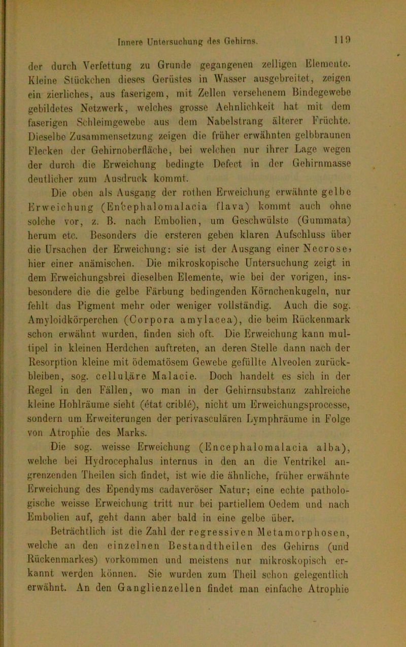der durch Verfettung zu Grunde gegangenen zelligcn Elemente. Kleine Stückchen dieses Gerüstes in Wasser ausgebreitet, zeigen ein zierliches, aus faserigem, mit Zellen versehenem Bindegewebe gebildetes Netzwerk, welches grosse Aehnlichkeit hat mit dem faserigen Schleimgewebe aus dem Nabelstrang älterer Früchte. Dieselbe Zusammensetzung zeigen die früher erwähnten gelbbraunen Flecken der Gehirnoberfläche, bei welchen nur ihrer Lage wegen der durch die Erweichung bedingte Defect in der Gehirnmasse deutlicher zum Ausdruck kommt. Die oben als Ausgang der rothen Erweichung erwähnte gelbe Erweichung (Enfcephalomalacia flava) kommt auch ohne solche vor, z. B. nach Embolien, um Geschwülste (Gummata) herum etc. Besonders die ersteren geben klaren Aufschluss über die Ursachen der Erweichung: sie ist der Ausgang einer Necrose? hier einer anämischen. Die mikroskopische Untersuchung zeigt in dem Erweichungsbrei dieselben Elemente, wie bei der vorigen, ins- besondere die die gelbe Färbung bedingenden Körnchenkugeln, nur fehlt das Pigment mehr oder weniger vollständig. Auch die sog. Amyloidkörperchen (Corpora amylacea), die beim Rückenmark schon erwähnt wurden, Finden sich oft. Die Erweichung kann mul- tipel in kleinen Herdchen auftreten, an deren Stelle dann nach der Resorption kleine mit ödematösem Gewebe gefüllte Alveolen Zurück- bleiben, sog. celluLire Malacie. Doch handelt es sich in der Regel in den Fällen, wo man in der Gehirnsubstanz zahlreiche kleine Hohlräume sieht (etat crible), nicht um Erweichungsprocessc, sondern um Erweiterungen der perivasculären Lymphräume in Folge von Atrophie des Marks. Die sog. weisse Erweichung (Encephalomalacia alba), welche bei Hvdrocephalus internus in den an die Ventrikel an- grenzenden Theilen sich findet, ist wie die ähnliche, früher erwähnte Erweichung des Ependyms cadaveröser Natur; eine echte patholo- gische weisse Erweichung tritt nur bei partiellem Oedem und nach Embolien auf, geht dann aber bald in eine gelbe über. Beträchtlich ist die Zahl der regressiven Metamorphosen, welche an den einzelnen Bestandtheilcn des Gehirns (und Rückenmarkes) Vorkommen und meistens nur mikroskopisch er- kannt werden können. Sie wurden zum Theil schon gelegentlich erwähnt. An den Ganglienzellen findet man einfache Atrophie