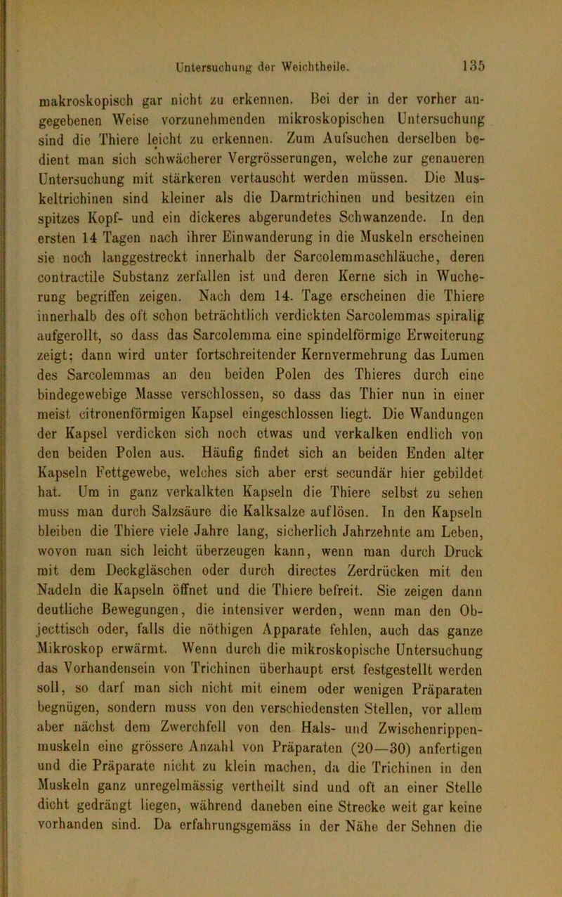 makroskopisch gar nicht zu erkennen. Bei der in der vorher an- gegebenen Weise vorzunehmenden mikroskopischen Untersuchung sind die Thiere leicht zu erkennen. Zum Aufsuchen derselben bc- dient man sich schwächerer Vergrösserungen, welche zur genaueren Untersuchung mit stärkeren vertauscht werden müssen. Die Mus- keltrichinen sind kleiner als die Darmtrichinen und besitzen ein spitzes Kopf- und ein dickeres abgerundetes Schwanzende. In den ersten 14 Tagen nach ihrer Einwanderung in die Muskeln erscheinen sie noch langgestreckt innerhalb der Sarcolemmaschläuehe, deren contraetile Substanz zerfallen ist und deren Kerne sich in Wuche- rung begriffen zeigen. Nach dem 14. Tage erscheinen die Thiere innerhalb des oft schon beträchtlich verdickten Sareolemmas spiralig aufgerollt, so dass das Sarcolemma eine spindelförmige Erweiterung zeigt; dann wird unter fortschreitender Kern Vermehrung das Lumen des Sareolemmas an den beiden Polen des Thieres durch eine bindegewebige Masse verschlossen, so dass das Thier nun in einer meist citronenförmigen Kapsel eingeschlossen liegt. Die Wandungen der Kapsel verdicken sich noch etwas und verkalken endlich von den beiden Polen aus. Häufig findet sich an beiden Enden alter Kapseln Fettgewebe, welches sich aber erst secundär hier gebildet hat. Um in ganz verkalkten Kapseln die Thiere selbst zu sehen muss man durch Salzsäure die Kalksalze auflösen. ln den Kapseln bleiben die Thiere viele Jahre lang, sicherlich Jahrzehnte am Leben, wovon man sich leicht überzeugen kann, wenn man durch Druck mit dem Deckgläschen oder durch directes Zerdrücken mit den Nadeln die Kapseln öffnet und die Thiere befreit. Sie zeigen dann deutliche Bewegungen, die intensiver werden, wenn man den Ob- jecttisch oder, falls die nöthigen Apparate fehlen, auch das ganze Mikroskop erwärmt. Wenn durch die mikroskopische Untersuchung das Vorhandensein von Trichinen überhaupt erst festgestellt werden soll, so darf man sich nicht mit einem oder wenigen Präparaten begnügen, sondern muss von den verschiedensten Stellen, vor allem aber nächst dem Zwerchfell von den Hals- und Zwischenrippen- muskeln eine grössere Anzahl von Präparaten (20—30) anfertigen und die Präparate nicht zu klein machen, da die Trichinen in den Muskeln ganz unregelmässig vertheilt sind und oft an einer Stelle dicht gedrängt liegen, während daneben eine Strecke weit gar keine vorhanden sind. Da erfahrungsgemäss in der Nähe der Sehnen die
