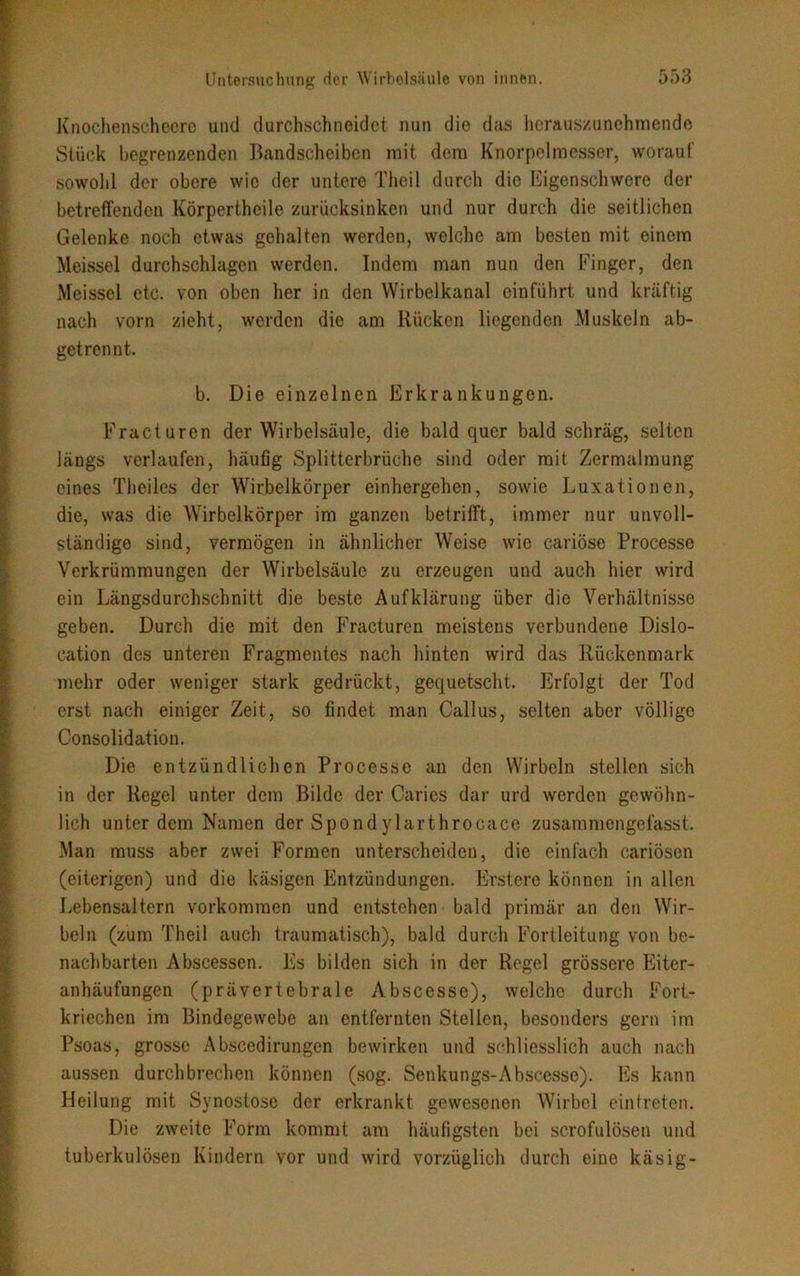 Knochenschecre und durchschneidet nun die das heraus/,unchmende Stück begrenzenden Bandscheiben mit dem Knorpelmesser, worauf sowohl der obere wie der untere Thcil durch die Eigenschwerc der betreffenden Körpertheile zurücksinken und nur durch die seitlichen Gelenke noch etwas gehalten werden, welche am besten mit einem Meissei durchschlagen werden. Indem man nun den Finger, den Meissei etc. von oben her in den Wirbelkanal einführt und kräftig nach vorn zieht, werden die am Rücken liegenden Muskeln ab- getrennt. b. Die einzelnen Erkrankungen. Fracturen der Wirbelsäule, die bald quer bald schräg, selten längs verlaufen, häufig Splitterbrüche sind oder mit Zermalmung eines Theilcs der Wirbelkörper einhergehen, sowie Luxationen, die, was die Wirbelkörper im ganzen betrifft, immer nur unvoll- ständige sind, vermögen in ähnlicher Weise wie cariöse Processo Verkrümmungen der Wirbelsäule zu erzeugen und auch hier wird ein Längsdurchschnitt die beste Aufklärung über die Verhältnisse geben. Durch die mit den Fracturen meistens verbundene Dislo- cation des unteren Fragmentes nach hinten wird das Rückenmark mehr oder weniger stark gedrückt, gequetscht. Erfolgt der Tod erst nach einiger Zeit, so findet man Callus, selten aber völlige Consolidation. Die entzündlichen Processe an den Wirbeln stellen sich in der Regel unter dem Bilde der Caries dar urd werden gewöhn- lich unter dem Namen der Spondylarthrocace zusammengefasst. Man muss aber zwei Formen unterscheiden, die einfach cariöson (eiterigen) und die käsigen Entzündungen. Erstere können in allen Lebensaltern Vorkommen und entstehen bald primär an den Wir- beln (zum Theil auch traumatisch), bald durch Fortleitung von be- nachbarten Abscessen. Es bilden sich in der Regel grössere Eiter- anhäufungen (prävertebrale Abscesse), welche durch Fort- kriechen im Bindegewebe an entfernten Stellen, besonders gern im Psoas, grosse Abscedirungen bewirken und schliesslich auch nach aussen durchbrechen können (sog. Senkungs-Abscesse). Es kann Heilung mit Synostose der erkrankt gewesenen Wirbel eintreten. Die zweite Form kommt am häufigsten bei scrofulösen und tuberkulösen Kindern vor und wird vorzüglich durch eine käsig-