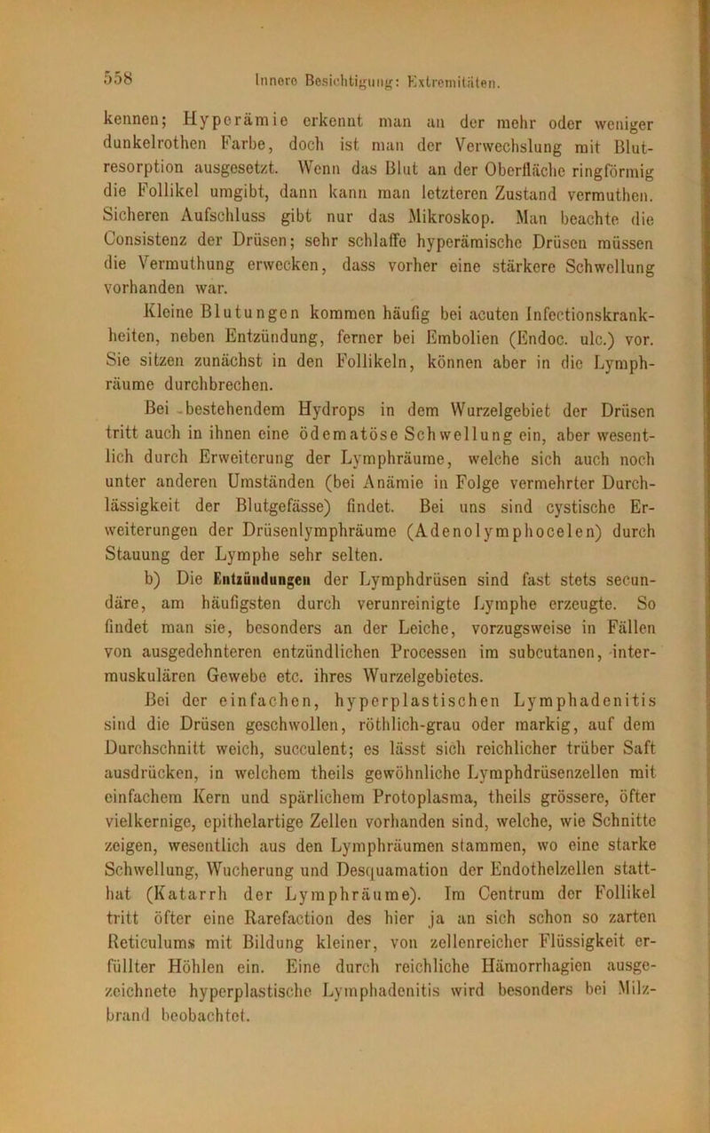 kennen; Hyperämie erkennt man an der mehr oder weniger duukelrothen Farbe, doch ist man der Verwechslung mit Blut- resorption ausgesetzt. Wenn das Blut an der Oberfläche ringförmig die Follikel umgibt, dann kann man letzteren Zustand vermuthen. Sicheren Aufschluss gibt nur das Mikroskop. Man beachte die Consistenz der Drüsen; sehr schlaffe hyperämischc Drüsen müssen die Vermuthung erwecken, dass vorher eine stärkere Schwellung vorhanden war. Kleine Blutungen kommen häufig bei acuten Infectionskrank- heiten, neben Entzündung, ferner bei Embolien (Endoc. ulc.) vor. Sie sitzen zunächst in den Follikeln, können aber in die Lymph- räume durchbrechen. Bei -bestehendem Hydrops in dem Wurzelgebiet der Drüsen tritt auch in ihnen eine ödematöse Schwellung ein, aber wesent- lich durch Erweiterung der Lymphräume, welche sich auch noch unter anderen Umständen (bei Anämie in Folge vermehrter Durch- lässigkeit der Blutgefässe) findet. Bei uns sind cystische Er- weiterungen der Drüsenlymphräume (Adenolymphocelen) durch Stauung der Lymphe sehr selten. b) Die Entzündungen der Lymphdrüsen sind fast stets secun- däre, am häufigsten durch verunreinigte Lymphe erzeugte. So findet man sie, besonders an der Leiche, vorzugsweise in Fällen von ausgedehnteren entzündlichen Processen im subcutanen, -inter- muskulären Gewebe etc. ihres Wurzelgebietes. Bei der einfachen, hyperplastischen Lymphadenitis sind die Drüsen geschwollen, röthlich-grau oder markig, auf dem Durchschnitt weich, succulent; es lässt sich reichlicher trüber Saft ausdrücken, in welchem theils gewöhnliche Lymphdrüsenzellen mit einfachem Kern und spärlichem Protoplasma, theils grössere, öfter vielkernige, epithelartige Zellen vorhanden sind, welche, wie Schnitte zeigen, wesentlich aus den Lymphräumen stammen, wo eine starke Schwellung, Wucherung und Desquamation der Endothelzellen statt- hat (Katarrh der Lymphräume). Im Centrum der Follikel tritt öfter eine Rarefaction des hier ja an sich schon so zarten Reticulums mit Bildung kleiner, von zellenreicher Flüssigkeit er- füllter Höhlen ein. Eine durch reichliche Hämorrhagien ausge- zeichnete hyperplastische Lymphadenitis wird besonders bei Milz- brand beobachtet.