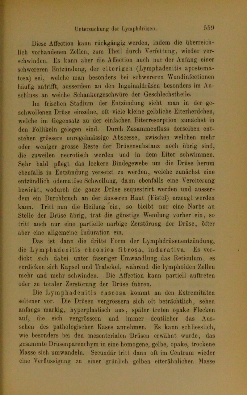 Diese Affection kann rückgängig werden, indem die überreich- lich vorhandenen Zellen, zum Theil durch Verfettung, wieder ver- schwinden. Es kann aber die Affection auch nur der Anfang einer schwereren Entzündung, der eiterigen (Lymphadenitis apostema- tosa) sei, welche man besonders bei schwereren Wundinfectionen häufig antrifft, ausserdem an den Inguinaldrüsen besonders im An- schluss an weiche Schankergeschwüre der Geschlechstheile. Im frischen Stadium der Entzündung sieht man in der ge- schwollenen Drüse einzelne, oft viele kleine gelbliche Eiterherdchen, welche im Gegensatz zu der einfachen Eiterresorption zunächst in den Follikeln gelegen sind. Durch Zusammenfluss derselben ent- stehen grössere unregelmässige Abscesse, zwischen welchen mehr oder weniger grosse Reste der Drüsensubstanz noch übrig sind, die zuweilen neerotisch werden und in dem Eiter schwimmen. Sehr bald pflegt das lockere Bindegewebe um die Drüse herum ebenfalls in Entzündung versetzt zu werden, welche zunächst eine entzündlich ödematöse Schwellung, dann ebenfalls eine Vereiterung bewirkt, wodurch die ganze Drüse sequestrirt werden und ausser- dem ein Durchbruch an der äusseren Haut (Fistel) erzeugt werden kann. Tritt nun die Heilung ein, so bleibt nur eine Narbe an Stelle der Drüse übrig, trat die günstige Wendung vorher ein, so tritt auch nur eine partielle narbige Zerstörung der Drüse, öfter aber eine allgemeine Induration ein. Das ist dann die dritte Form der Lymphdrüsenentzündung, die Lymphadenitis chronica fibrosa, indurativa. Es ver- dickt sich dabei unter faseriger Umwandlung das Reticulum, es verdicken sich Kapsel und Trabekel, während die lymphoiden Zellen mehr und mehr schwinden. Die Affection kann partiell auftreten oder zu totaler Zerstörung der Drüse führen. Die Lymphadenitis caseosa kommt an den Extremitäten seltener vor. Die Drüsen vergrössern sich oft beträchtlich, sehen anfangs markig, hyperplastisch aus, später treten opake Flecken auf, die sich vergrössern und immer deutlicher das Aus- sehen des pathologischen Käses annehmen. Es kann schliesslich, wie besonders bei den mesenterialen Drüsen erwähnt wurde, das gesammte Drüsenparenchym in eine homogene, gelbe, opake, trockene Masse sich umwandeln. Secundär tritt dann oft im Centrum wieder eine Verflüssigung zu einer grünlich gelben eiterähnlichen Masse