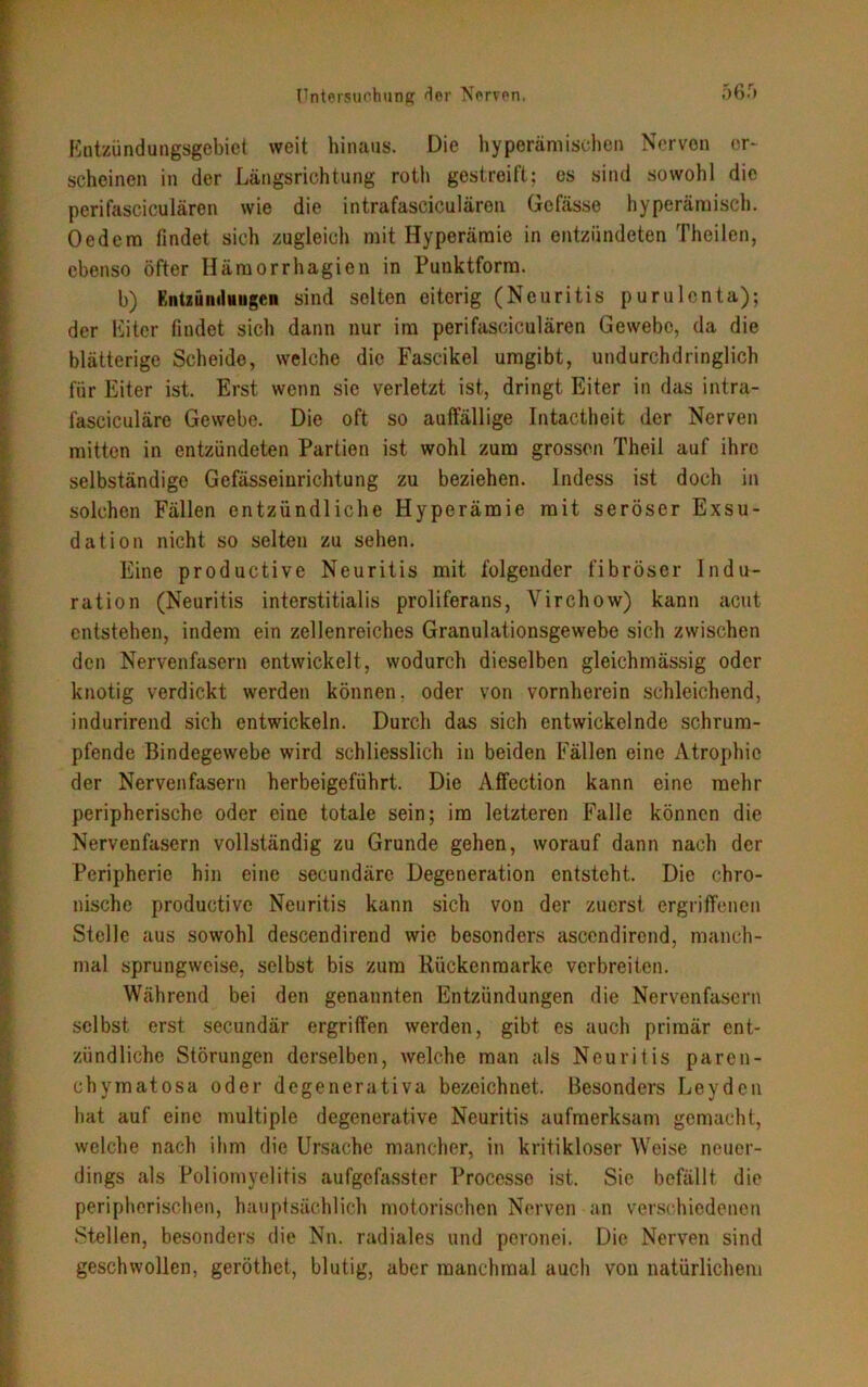 Entzündungsgebiet weit hinaus. Die hyperämisehen Nerven er- scheinen in der Längsrichtung roth gestreift; es sind sowohl die perifasciculären wie die intrafasciculäron Gcfässe hyperäraisch. Oed ein findet sich zugleich mit Hyperämie in entzündeten Theilen, ebenso öfter Hämorrhagien in Punktform. b) Rntzüinluugcn sind selten eiterig (Neuritis purulcnta); der Eiter findet sich dann nur im perifasciculären Gewebe, da die blätterige Scheide, welche die Fascikel umgibt, undurchdringlich für Eiter ist. Erst wenn sie verletzt ist, dringt Eiter in das intra- fasciculäre Gewebe. Die oft so auffällige Intactheit der Nerven mitten in entzündeten Partien ist wohl zum grossen Theil auf ihre selbständige Gefässeinrichtung zu beziehen. Indess ist doch in solchen Fällen entzündliche Hyperämie mit seröser Exsu- dation nicht so selten zu sehen. Eine productive Neuritis mit folgender fibröser Indu- ration (Neuritis interstitialis proliferans, Yirchow) kann acut entstehen, indem ein zellenreiches Granulationsgewebe sich zwischen den Nervenfasern entwickelt, wodurch dieselben gleichmässig oder knotig verdickt werden können, oder von vornherein schleichend, indurirend sich entwickeln. Durch das sich entwickelnde schrum- pfende Bindegewebe wird schliesslich in beiden Fällen eine Atrophie der Nervenfasern herbeigeführt. Die Affection kann eine mehr peripherische oder eine totale sein; im letzteren Falle können die Nervenfasern vollständig zu Grunde gehen, worauf dann nach der Peripherie hin eine secundäre Degeneration entsteht. Die chro- nische productive Neuritis kann sich von der zuerst ergriffenen Stelle aus sowohl descendirend wie besonders ascendirend, manch- mal sprungweise, selbst bis zum Rückenmarke verbreiten. Während bei den genannten Entzündungen die Nervenfasern selbst erst secundär ergriffen werden, gibt es auch primär ent- zündliche Störungen derselben, welche man als Neuritis paren- chymatosa oder degenerativa bezeichnet. Besonders Leyden hat auf eine multiple degenerative Neuritis aufmerksam gemacht, welche nach ihm die Ursache mancher, in kritikloser Weise neuer- dings als Poliomyelitis aufgefasster Processe ist. Sie befällt die peripherischen, hauptsächlich motorischen Nerven an verschiedenen Stellen, besonders die Nn. radiales und peronei. Die Nerven sind geschwollen, geröthet, blutig, aber manchmal auch von natürlichem