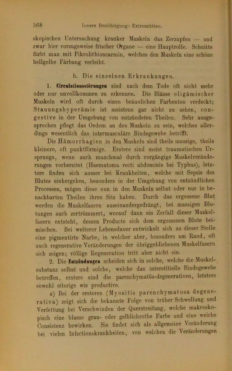 skopischcn Untersuchung kranker Muskeln das Zerzupfen — und zwar hier vorzugsweise frischer Organe — eine Hauptrolle. Schnitte färbt man mit Pikrolithioncarmin, welches den Muskeln eine schöne hellgelbe Färbung verleiht. b. Die einzelnen Erkrankungen. 1. Cireulationsstörungen sind nach dem Tode oft nicht mehr oder nur unvollkommen zu erkennen. Die Blässe oligämischer Muskeln wird oft durch einen bräunlichen Farbenton verdeckt; Stauungshyperämie ist meistens gar nicht zu sehen, con- gestive in der Umgebung von entzündeten Theilen. Sehr ausge- sprochen pflegt das Oedem an den Muskeln zu sein, welches aller- dings wesentlich das intermusculäre Bindegewebe betrifft. Die Hämorrhagien in den Muskeln sind theils massige, theils kleinere, oft punktförmige. Erstere sind meist traumatischen Ur- sprungs, wenn auch manchmal durch vorgängige Muskel Verände- rungen vorbereitet (Haematoma recti abdominis bei Typhus), letz- tere finden sich ausser bei Krankheiten, welche mit Sepsis des Blutes einhergehen, besonders in der Umgebung von entzündlichen Processen, mögen diese nun in den Muskeln selbst oder nur in be- nachbarten Theilen ihren Sitz haben. Durch das ergossene Blut werden die Muskelfasern auseinandergedrängt, bei massigen Blu- tungen auch zertrümmert, worauf dann ein Zerfall dieser Muskel- fasern entsteht, dessen Producte sich dem ergossenen Blute bei- mischen. Bei weiterer Lebensdauer entwickelt sich an dieser Stelle eine pigmentirte Narbe, in welcher aber, besonders am Rand, oft auch regenerative Veränderungen der übriggebliebenen Muskelfasern sich zeigen; völlige Regeneration tritt aber nicht ein. 2. Die Entzündungen scheiden sich in solche, welche die Muskel- substanz selbst und solche, welche das interstitielle Bindegewebe betreffen, erstere sind die parenchymatös-degenerativen, letztere sowohl eiterige wie productive. a) Bei der ersteren (Myositis parenchyraatosa degcne- rativa) zeigt sich die bekannte Folge von trüber Schwellung und Verfettung bei Verschwinden der Querstreifung, welche makrosko- pisch eine blasse grau- oder gelblichrothe Farbe und eine weiche Consistenz bewirken. Sie findet sich als allgemeine \ eränderung bei vielen Infectionskrankheiten, von welchen die Veränderungen