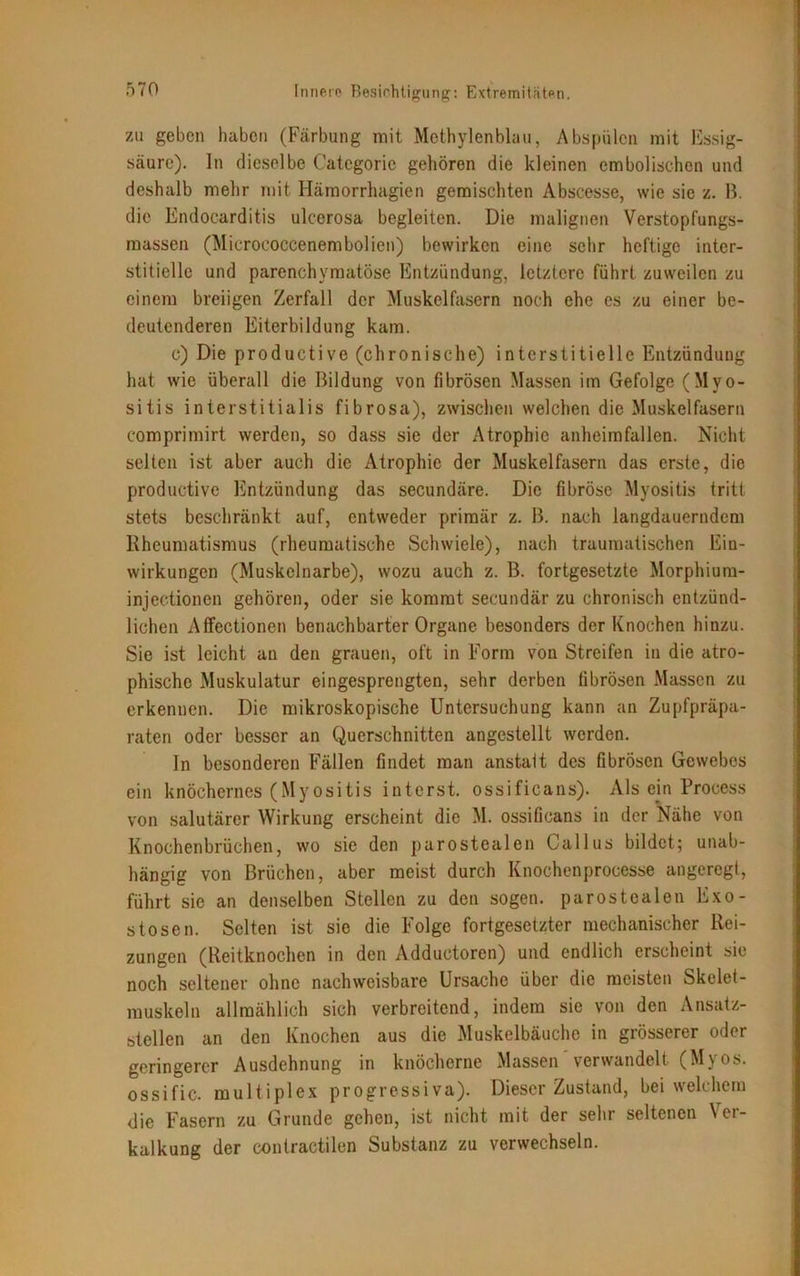 zu geben haben (Färbung mit Methylenblau, Abspülen mit Essig- säure). In dieselbe Categoric gehören die kleinen embolischen und deshalb mehr mit Hämorrhagien gemischten Abscesse, wie sie z. B. die Endocarditis ulcerosa begleiten. Die malignen Verstopfungs- massen (Micrococcenembolien) bewirken eine sehr heftige inter- stitielle und parenchymatöse Entzündung, letztere führt zuweilen zu einem breiigen Zerfall der Muskelfasern noch ehe cs zu einer be- deutenderen Eiterbildung kam. c) Die productive (chronische) interstitielle Entzündung hat wie überall die Bildung von fibrösen Massen im Gefolge (Myo- sitis interstitialis fibrosa), zwischen welchen die Muskelfasern comprimirt werden, so dass sie der Atrophie anheimfallen. Nicht selten ist aber auch die Atrophie der Muskelfasern das erste, die productive Entzündung das secundäre. Die fibröse Myositis tritt stets beschränkt auf, entweder primär z. B. nach langdauerndem Rheumatismus (rheumatische Schwiele), nach traumatischen Ein- wirkungen (Muskelnarbe), wozu auch z. B. fortgesetzte Morphium- injectionen gehören, oder sie kommt secundär zu chronisch entzünd- lichen Affectionen benachbarter Organe besonders der Knochen hinzu. Sie ist leicht an den grauen, oft in Form von Streifen in die atro- phische Muskulatur eingesprengten, sehr derben fibrösen Massen zu erkennen. Die mikroskopische Untersuchung kann an Zupfpräpa- raten oder besser an Querschnitten angestellt werden. In besonderen Fällen findet man anstalt des fibrösen Gewebes ein knöchernes (Myositis interst. ossificans). Als ein Process von salutärer Wirkung erscheint die M. ossificans in der Nähe von Knochenbrüchen, wo sie den parostcalen Gallus bildet; unab- hängig von Brüchen, aber meist durch Knochenprocesse angeregt, führt sie an denselben Stellen zu den sogen, parostealen Exo- stosen. Selten ist sie die Folge fortgesetzter mechanischer Rei- zungen (lieitknochen in den Adductoren) und endlich erscheint sie noch seltener ohne nachweisbare Ursache über die meisten Skelet- muskeln allmählich sich verbreitend, indem sie von den Ansatz- stellen an den Knochen aus die Muskelbäuche in grösserer oder geringerer Ausdehnung in knöcherne Massen verwandelt (Myos. ossific. multiplex progressiva). Dieser Zustand, bei welchem die Fasern zu Grunde gehen, ist nicht mit der sehr seltenen \ei- kalkung der contractilen Substanz zu verwechseln.