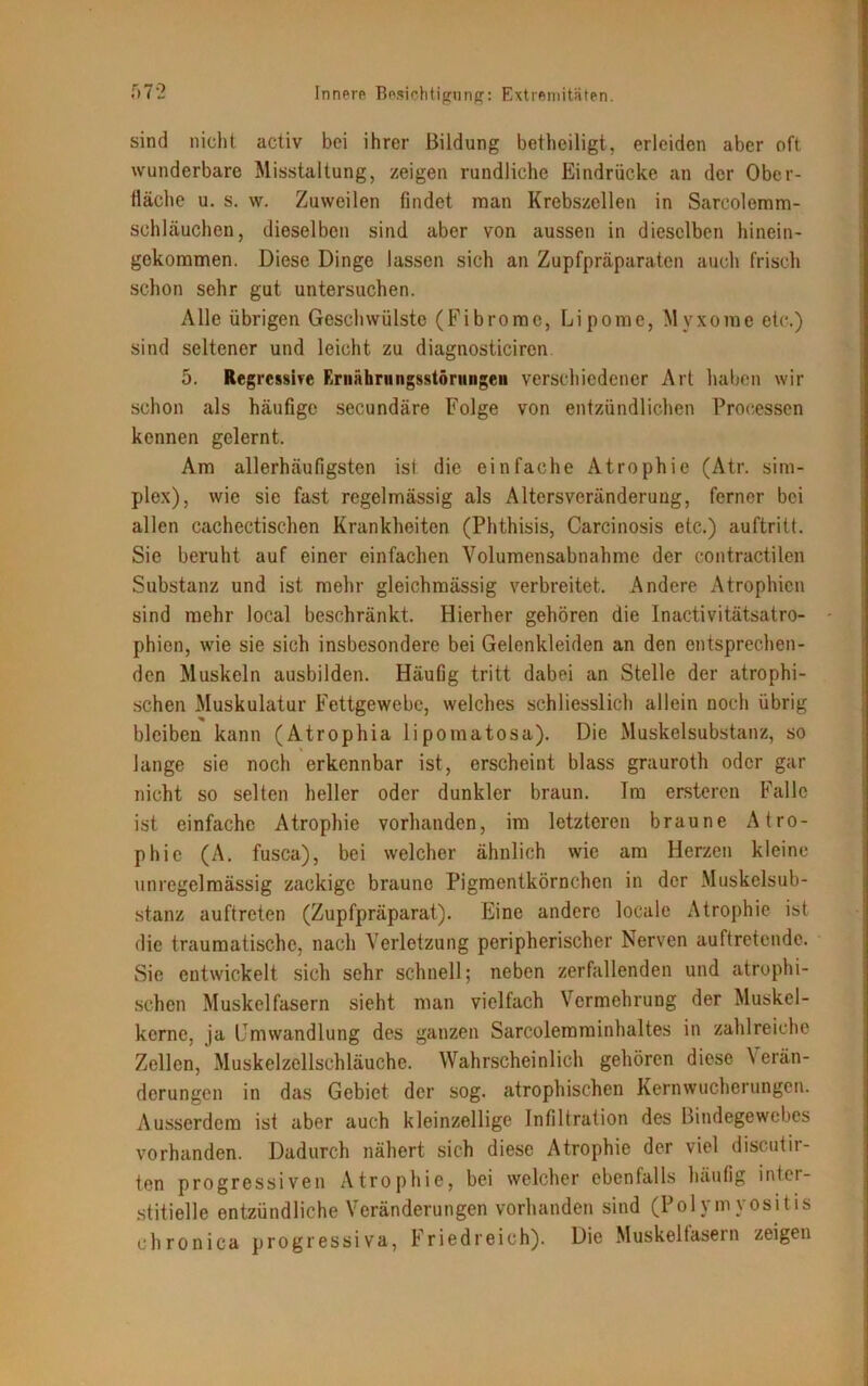 sind nicht activ bei ihrer Bildung betheiligt, erleiden aber oft wunderbare Misstaltung, zeigen rundliche Eindrücke an der Ober- fläche u. s. w. Zuweilen findet man Krebszellen in Sarcolemm- schläuchen, dieselben sind aber von aussen in dieselben hinein- gekommen. Diese Dinge lassen sich an Zupfpräparaten auch frisch schon sehr gut untersuchen. Alle übrigen Geschwülste (Fibrome, Lipome, Myxome etc.) sind seltener und leicht zu diagnosticiren 5. Regressive Ernährungsstörungen verschiedener Art haben wir schon als häufige secundäre Folge von entzündlichen Processen kennen gelernt. Am allerhäufigsten isl die einfache Atrophie (Atr. Sim- plex), wie sie fast regelmässig als Altersveränderung, ferner bei allen cachectischen Krankheiten (Phthisis, Carcinosis etc.) auftritt. Sie beruht auf einer einfachen Volumensabnahme der contractilen Substanz und ist mehr gleichmässig verbreitet. Andere Atrophien sind mehr local beschränkt. Hierher gehören die Inactivitätsatro- phien, wie sie sich insbesondere bei Gelenkleiden an den entsprechen- den Muskeln ausbilden. Häufig tritt dabei an Stelle der atrophi- schen Muskulatur Fettgewebe, welches schliesslich allein noch übrig bleiben kann (Atrophia lipomatosa). Die Muskelsubstanz, so lange sie noch erkennbar ist, erscheint blass grauroth oder gar nicht so selten heller oder dunkler braun. Im ersteren Falle ist einfache Atrophie vorhanden, im letzteren braune Atro- phie (A. fusca), bei welcher ähnlich wie am Herzen kleine unregelmässig zackige braune Pigmentkörnchen in der Muskelsub- stanz auftreten (Zupfpräparat). Eine andere locale Atrophie ist die traumatische, nach Verletzung peripherischer Nerven auftretende. Sie entwickelt sich sehr schnell; neben zerfallenden und atrophi- schen Muskelfasern sieht man vielfach Vermehrung der Muskel- kernc, ja Umwandlung des ganzen Sarcolemminhaltes in zahlreiche Zellen, Muskelzellschläuche. Wahrscheinlich gehören diese \ erän- derungen in das Gebiet der sog. atrophischen Kernwucherungen. Ausserdem ist aber auch kleinzellige Infiltration des Bindegewebes vorhanden. Dadurch nähert sich diese Atrophie der viel discutir- ten progressiven Atrophie, bei welcher ebenfalls häufig inter- stitielle entzündliche Veränderungen vorhanden sind (Polymyositis chronica progressiva, Friedreich). Die Muskelfasern zeigen