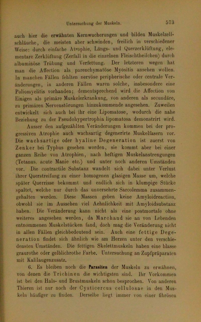 auch hier die erwähnten Kernwucherungen und bilden Muskelzell- schläuche, die meisten aber schwinden, freilich in verschiedener Weise: durch einfache Atrophie, Längs- und Querzerklüftung, ele- mentare Zerklüftung (Zerfall in die einzelnen Fleisehtheilchen) durch albuminöse Trübung und Verfettung. Der letzteren wegen hat man die Affection als parenchymatöse Myositis ansehen wollen. In manchen Fällen fehlten nervöse peripherische oder centrale Ver- änderungen, in anderen Fällen waren solche, insbesondere eine Poliomyelitis vorhanden; dementsprechend wird die Affection von Einigen als primäre Muskelerkrankung, von anderen als secundärc, zu primären Nervenstörungen hinzukommende angesehen. Zuweilen entwickelt sich auch bei ihr eine Lipomatose, wodurch die nahe Beziehung zu der Pseudohypertrophia lipomatosa demonstrirt wird. Ausser den aufgezählten Veränderungen kommen bei der pro- gressiven Atrophie auch wachsartig degenerirte Muskelfasern vor. Die wachsartige oder hyaline Degeneration ist zuerst von Zenker bei Typhus gesehen worden, sie kommt aber bei einer ganzen Reihe von Atrophien, nach heftigen Muskelanstrengungen (Tetanus, acute Manie etc.) und unter noch anderen Umständen vor. Die contractile Substanz wandelt sich dabei unter Verlust ihrer Querstreifung zu einer homogenen glasigen Masse um, welche später Querrisse bekommt, und endlich sich in klumpige Stücke spaltet, welche nur durch das unversehrte Sarcolemma zusammen- gehalten werden. Diese Massen geben keine Amyloidreaction, obwohl sie im Aussehen viel Aehnlichkeit mit Amyloidsubstanz haben. Die Veränderung kann nicht als eine postmortale ohne weiteres angesehen werden, da Marchand sie an von Lebenden entnommenen Muskelstücken fand, doch mag die Veränderung nicht in allen Fällen gleichbedeutend sein. Auch eine fettige Dege- neration findet sich ähnlich wie am Herzen unter den verschie- densten Umständen. Die fettigen Skelettmuskeln haben eine blasse graurothe oder gelblichrothc Farbe. Untersuchung an Zupfpräparaten mit Kalilaugenzusatz. 6. Es bleiben noch die Parasiten der Muskeln zu erwähnen, von denen die Trichinen die wichtigsten sind. Ihr Vorkommen ist bei den Hals- und Brustmuskeln schon besprochen. Von anderen Thieren ist nur noch der Cysticercus cellulosae in den Mus- keln häufiger zu finden. Derselbe liegt immer von einer fibrösen