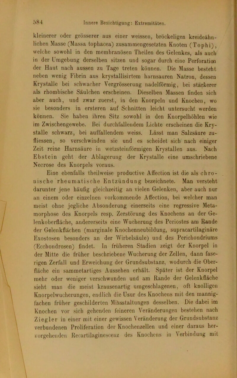 kleinerer oder grösserer aus einer weissen, bröckeligen kreideähn- lichen Masse (Massa tophacea) zusammengesetzten Knoten (Tophi), welche sowohl in den membranösen Theilen des Gelenkes, als auch in der Umgebung derselben sitzen und sogar durch eine Perforation der Haut nach aussen zu Tage treten können. Die Masse besteht neben wenig Fibrin aus krystallisirtem harnsauren Natron, dessen Krystalle bei schwacher Vergrösserung nadelförmig, bei stärkerer als rhombische Säulchen erscheinen. Dieselben Massen finden sich aber auch, und zwar zuerst, in den Knorpeln und Knochen, wo sie besonders in ersteren auf Schnitten leicht untersucht werden können. Sie haben ihren Sitz sowohl in den Knorpelhöhlen wie im Zwischengewebe. Bei durchfallendem Lichte erscheinen die Kry- stalle schwarz, bei auffallendem weiss. Lässt man Salzsäure zu- fliessen, so verschwinden sie und es scheidet sich nach einiger Zeit reine Harnsäure in wetzsteinförmigen Krystallen aus. Nach Ebstein geht der Ablagerung der Krystalle eine umschriebene Necrose des Knorpels voraus. Eine ebenfalls theilweise productive Affection ist die als chro- nische rheumatische Entzündung bezeichnete. Man versteht darunter jene häufig gleichzeitig an vielen Gelenken, aber auch nur an einem oder einzelnen vorkommende Affection, bei welcher man meist ohne jegliche Absonderung einerseits eine regressive Meta- morphose des Knorpels resp. Zerstörung des Knochens an der Ge- lenkoberfläche, andererseits eine Wucherung des Periostes am Rande der Gelenkflächen (marginale Knochenneubildung, supracartilaginäro Exostosen besonders an der Wirbelsäule) und des Periehondriums (Ecchondrosen) findet. In früheren Stadien zeigt der Knorpel in der Mitte die früher beschriebene Wucherung der Zellen, dann fase- rigen Zerfall und Erweichung der Grundsubstanz, wodurch die Ober- fläche ein sammetartiges Aussehen erhält. Später ist der Knorpel mehr oder weniger verschwunden und am Rande der Gelenkfläche sieht man die meist krausenartig umgeschlagenen, oft knolligen Knorpelwucherungen, endlich die Usur des Knochens mit den mannig- fachen früher geschilderten Miksstaltungen desselben. Die dabei im Knochen vor sich gehenden feineren Veränderungen bestehen nach Ziegler in einer mit einer gewissen Veränderung der Grundsubstanz verbundenen Proliferation der Knochenzellen und einer daraus her- vorgehenden Rceartilagineseenz des Knochens in \ erbindung mit