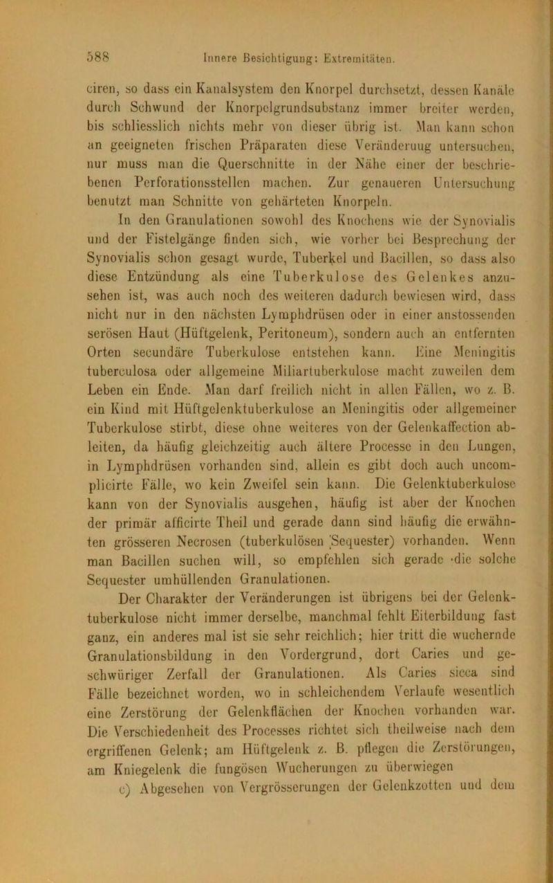 ciren, so dass ein Kanalsystem den Knorpel durchsetzt, dessen Kanäle durch Schwund der Knorpclgrundsubstanz immer breiter werden, bis schliesslich nichts mehr von dieser übrig ist. Man kann schon an geeigneten frischen Präparaten diese Veränderung untersuchen, nur muss man die Querschnitte in der Nähe einer der beschrie- benen Perforationsstellcn machen. Zur genaueren Untersuchung benutzt man Schnitte von gehärteten Knorpeln. In den Granulationen sowohl des Knochens wie der Synovialis und der Fistelgänge finden sich, wie vorher bei Besprechung der Synovialis schon gesagt wurde, Tuberkel und Bacillen, so dass also diese Entzündung als eine Tuberkulose des Gelenkes anzu- sehen ist, was auch noch des weiteren dadurch bewiesen wird, dass nicht nur in den nächsten Lymphdrüsen oder in einer anstossenden serösen Haut (Hüftgelenk, Peritoneum), sondern auch an entfernten Orten secundäre Tuberkulose entstehen kann. Eine Meningitis tuberculosa oder allgemeine Miliartuberkulose macht zuweilen dem Leben ein Ende. Man darf freilich nicht in allen Fällen, wo z. B. ein Kind mit Hüftgelenktuberkulose an Meningitis oder allgemeiner Tuberkulose stirbt, diese ohne weiteres von der Gelenkaffection ab- leiten, da häufig gleichzeitig auch ältere Processc in den Lungen, in Lymphdrüsen vorhanden sind, allein es gibt doch auch uncom- plicirte Fälle, wo kein Zweifel sein kann. Die Gelenktuberkulosc kann von der Synovialis ausgehen, häufig ist aber der Knochen der primär afficirte Theil und gerade dann sind häufig die erwähn- ten grösseren Necrosen (tuberkulösen ^Sequester) vorhanden. Wenn man Bacillen suchen will, so empfehlen sich gerade -die solche Sequester umhüllenden Granulationen. Der Charakter der Veränderungen ist übrigens bei der Gelenk- tuberkulose nicht immer derselbe, manchmal fehlt Eiterbildung fast gauz, ein anderes mal ist sic sehr reichlich; hier tritt die wuchernde Granulationsbildung in den Vordergrund, dort Caries und ge- schwüriger Zerfall der Granulationen. Als Caries sicca sind Fälle bezeichnet worden, wo in schleichendem \ erlaufe wesentlich eine Zerstörung der Gelenkflächen der Knochen vorhanden war. Die Verschiedenheit des Processes richtet sich theilweise nach dem ergriffenen Gelenk; am Hüftgelenk z. B. pflegen die Zerstörungen, am Kniegelenk die fungösen Wucherungen zu überwiegen c) Abgesehen von Vergrösserungen der Gelenkzotten und dem