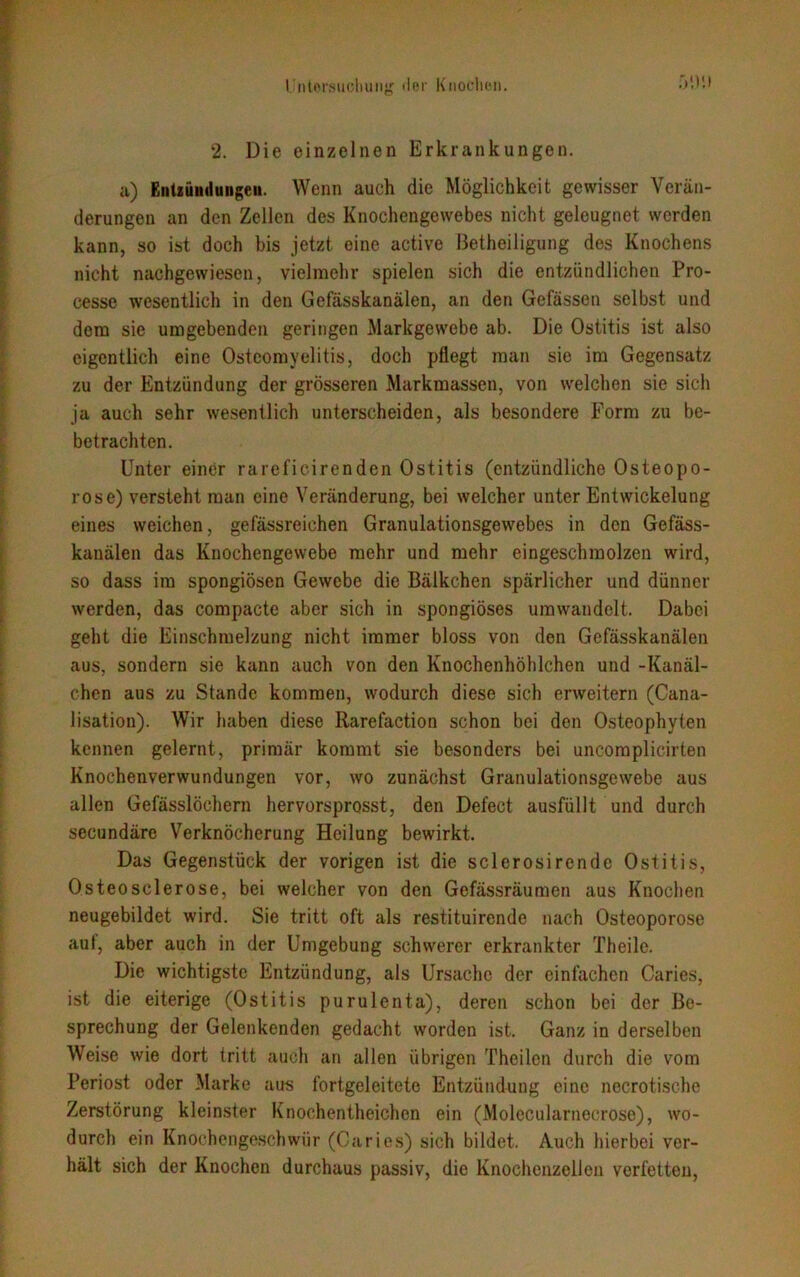 2. Die einzelnen Erkrankungen. a) Entrindungen. Wenn auch die Möglichkeit gewisser Verän- derungen an den Zellen des Knochengewebes nicht geleugnet werden kann, so ist doch bis jetzt eine active Betheiligung des Knochens nicht nachgewiesen, vielmehr spielen sich die entzündlichen Pro- cesse wesentlich in den Gefässkanälen, an den Gefässen selbst und dem sie umgebenden geringen Markgewebe ab. Die Ostitis ist also eigentlich eine Osteomyelitis, doch pflegt man sie im Gegensatz zu der Entzündung der grösseren Markmassen, von welchen sie sich ja auch sehr wesentlich unterscheiden, als besondere Form zu be- betrachten. Unter einer rareficirenden Ostitis (entzündliche Osteopo- rose) versteht man eine Veränderung, bei welcher unter Entwickelung eines weichen, gelassreichen Granulationsgewebes in den Gefäss- kanälen das Knochengewebe mehr und mehr eingeschmolzen wird, so dass im spongiösen Gewebe die Bälkchen spärlicher und dünner werden, das compacte aber sich in spongiöses umwandelt. Dabei geht die Einschmelzung nicht immer bloss von den Gefässkanälen aus, sondern sie kann auch von den Knochenhöhlchen und -Kanäl- chen aus zu Stande kommen, wodurch diese sich erweitern (Cana- lisation). Wir haben diese Rarefaction schon bei den Osteophyten kennen gelernt, primär kommt sie besonders bei uncomplicirten Knochenverwundungen vor, wo zunächst Granulationsgewebe aus allen Gefässlöchern hervorsprosst, den Defect ausfüllt und durch secundäre Verknöcherung Heilung bewirkt. Das Gegenstück der vorigen ist die sclerosircnde Ostitis, Osteosclerose, bei welcher von den Gefässräumen aus Knochen neugebildet wird. Sie tritt oft als restituirende nach Osteoporose auf, aber auch in der Umgebung schwerer erkrankter Theile. Die wichtigste Entzündung, als Ursache der einfachen Caries, ist die eiterige (Ostitis purulenta), deren schon bei der Be- sprechung der Gelenkenden gedacht worden ist. Ganz in derselben Weise wie dort tritt auch an allen übrigen Theilcn durch die vom Periost oder Marke aus fortgeleitetc Entzündung eine necrotische Zerstörung kleinster Knochentheichen ein (Molecularnecrose), wo- durch ein Knochengeschwür (Caries) sich bildet. Auch hierbei ver- hält sich der Knochen durchaus passiv, die Knochenzellen verfetten,