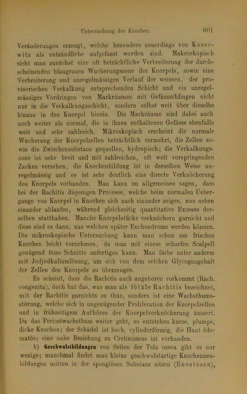 Veränderungen erzeugt, welche besonders neuerdings von Kasso- witz als entzündliche aufgefasst worden sind. Makroskopisch sieht man zunächst eine oft beträchtliche Verbreiterung der durch- scheinenden blaugrauen Wucherungszone des Knorpels, sowie eine Verbreiterung und unregelmässigen Verlauf der weissen, der pro- visorischen Verkalkung entsprechenden Schicht und ein unregel- mässiges Vordringen von Markräumen mit Gefässschlingen nicht nur in die Verkalkungsschicht, sondern selbst weit über dieselbe hinaus in den Knorpel hinein. Die Markräume sind dabei auch noch weiter als normal, die in ihnen enthaltenen Gefässe ebenfalls weit und sehr zahlreich. Mikroskopisch erscheint die normale Wucherung der Knorpelzellen beträchtlich vermehrt, die Zellen so- wie die Zwischensubstanz gequollen, hydropisch; die Verkalkungs- zone ist sehr breit und mit zahlreichen, oft weit vorspringenden Zacken versehen, die Knochenbildung ist in derselben Weise un- regelmässig und es ist sehr deutlich eine directe Verknöcherung des Knorpels vorhanden. Man kann im allgemeinen sagen, dass bei der Rachitis diejenigen Processe, welche beim normalen Ueber- gange von Knorpel in Knochen sich nach einander zeigen, nun neben einander ablaufen, während gleichzeitig quantitative Excesse der- selben statthaben. Manche Knorpelstücke verknöchern garnicht und diese sind es dann, aus welchen später Enehondrome werden können. Die mikroskopische Untersuchung kann man schon am frischen Knochen leicht vornehmen, da man mit einem scharfen Scalpell genügend feine Schnitte unfertigen kann. Man färbe unter anderm mit Jodjodkaliumlösung, um sich von dem reichen Glycogengelmlt der Zellen des Knorpels zu überzeugen. Es scheint, dass die Rachitis auch angeboren vorkommt (Rach, congenita), doch hat das, was man als fötale Rachitis bezeichnet, mit der Rachitis garnichts zu thun, sondern ist eine Wachsthums- störung, welche sich in ungenügender Proliferation der Knorpelzellen und in frühzeitigem Aufhören der Knorpelverknöcherung äussert. Da das Periostwachsthum weiter geht, so entstehen kurze, plumpe, dicke Knochen; der Schädel ist hoch, cylinderförmig, die Haut öde- matös; eine nahe Beziehung zu Cretinismus ist vorhanden. b) GeschwuUtbililiingen von Seiten der Tela ossea gibt es nur wenige; manchmal findet man kleine geschwulstartige Knochenneu- bildungen mitten in der spongiösen Substanz sitzen (Enostosen),