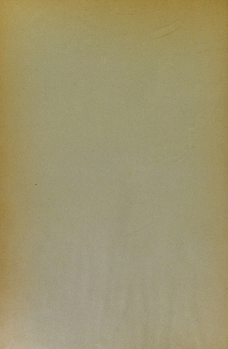 k': i:;v t'“' V /• ■ i.S. • : i i >, ' V?- '■