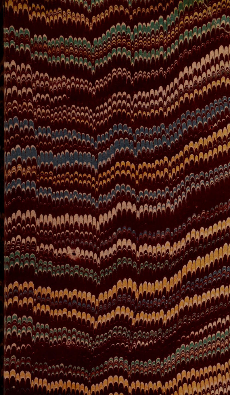 '^^'TVa^aa^. ' .ft >'^AA«flA<UriA|'' W:aM;.!ÿ<^>*»^î^^ 1 _»>’