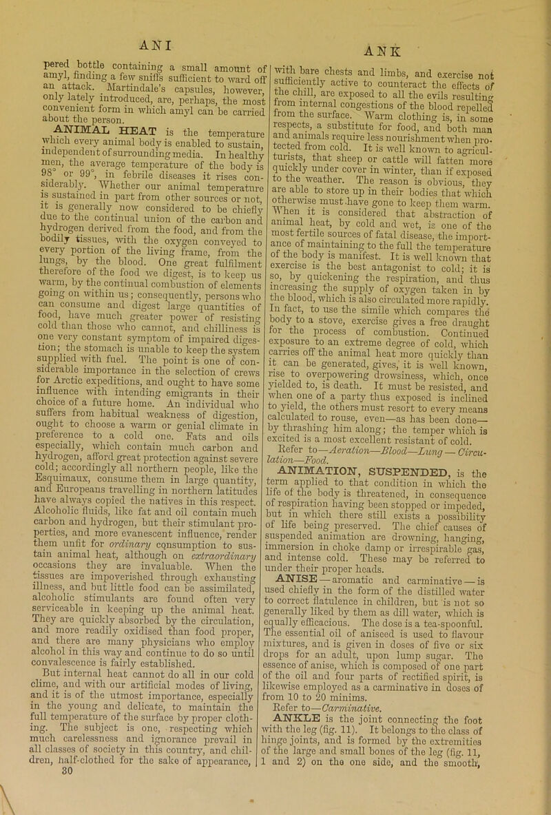 AN I pered bottle containing a small amount of amyl, finding a few sniffs sufficient to ward off an attack. . Martindale’s capsules, however only lately introduced, are, perhaps, the most convenient form in which amyl can he carried about the person. ANIMAL HEAT is the temperature which every animal body is enabled to sustain, independent of surrounding media. In healthy men, the average temperature of the body is 98 or 99 , in febrile diseases it rises con- siderably. Whether our animal temperature is sustained in part from other sources or not, it is generally now considered to be chiefly due to the continual union of the carbon and hydrogen derived from the food, and from the bodily tissues, with the oxygen conveyed to ASK every portion of the living frame, from the lungs, by the blood. One great fulfilment therefore of the food we digest, is to keep us warm, by the continual combustion of elements going on within us; consequently, persons who can consume and digest large quantities of food, have much greater power of resisting cold than those who cannot, and chilliness is one very constant symptom of impaired diges- tionj the stomach is unable to keep the system supplied with fuel. The point is one of eon- sideiable importance in the selection of crews for Arctic expeditions, and ought to have some influence with intending emigrants in their choice of a future home. An individual who suffers from habitual weakness of digestion, ought to choose a warm or genial climate in preference to a cold one. Fats and oils especially, which contain mucli carbon and hydrogen, afford great protection against severe cold; accordingly all northern people, like the Esquimaux, consume them in large quantity, and Europeans travelling in northern latitudes have always copied the natives in this respect. Alcoholic fluids, like fat and oil contain much carbon and hydrogen, but their stimulant pro- perties, and more evanescent influence, render them unfit for ordinary cqnsumption to sus- tain animal heat, although on extraordinary occasions they are invaluable. When the tissues are impoverished through exhausting illness, and but little food can be assimilated, alcoholic stimulants are found often very serviceable in keeping up the animal heat. They are quickly absorbed by the circulation, and more readily oxidised than food proper, and there are many physicians who emploj’’ alcohol in this way and continue to do so until convalescence is fairly established. But internal heat cannot do all in our cold clime, and with our artificial modes of living, and it is of the utmost importance, especially in the young and delicate, to maintain the full temperature of the surface by proper cloth- ing. The subject is one, respecting which much carelessness and ignorance prevail in all classes of society in this country, and chil- dren, half-clothed for the sake of appearance, 30 With bare chests and limbs, and exercise not sufficiently active to counteract the effects of the chill, are exposed to all the evils resulting from internal congestions of the blood repelled from the surface. Warm clothing is, in some respects, a substitute for food, and both man and animals require less nourishment when pro- tected from cold. It is well known to agricul- turists, that sheep or cattle will fatten more quickly under cover in winter, than if exposed to the weather. The reason is obvious, they are able to store up in their bodies that which otherwise must .have gone to keep them warm. Y\ hen it is considered that abstraction of animal heat, by cold and wet, is one of the most fertile sources of fatal disease, the import- maintaining to the full the temperature of the body is manifest. It is well known that exercise is the best antagonist to cold; it is so, by quickening the respiration, and thus increasing the supply of oxygen taken in by the blood, which is also circulated more rapidly. In fact, to use the simile which compares the body to a stove, exercise gives a free draught for the process of combustion. Continued exposure to an extreme degree of cold, which carries off the animal heat more quickly than it can be generated, gives,' it is well known, rise to overpowering drowsiness, which, once yielded to, is death. It must be resisted, and when one of a party thus exposed is inclined to yield, the others must resort to every means calculated to rouse, even—as has been done— by thrashing him along; the temper which is excited is a most excellent resistant of cold. Refer to—Aeration—Blood—Lung— Circu- lation—Food. ANIMATION, SUSPENDED, is the term applied to that condition in which the life of the body is threatened, in consequence of respiration having been stopped or impeded, but in which there still exists a possibility of life being preserved. The chief causes of suspended animation are drowning, hanging, immersion in choke damp or irrespirable gas, and intense cold. These may be referred to under their proper heads. ANISE — aromatic and carminative — is used chiefly in the form of the distilled water to correct flatulence in children, but is not so generally liked by them as dill water, which is equally efficacious. The dose is a tea-spoonful. The essential oil of aniseed is used to flavour mixtures, and is given in doses of live or six drops for an adult, upon lump sugar. The essence of anise, which is composed of one part of the oil and four parts of rectified spirit, is likewise employed as a carminative in doses of from 10 to 20 minims. Refer to—Carminative. ANKLE is the joint connecting the foot with the leg (fig. 11). It belongs to the class of hinge joints, and is formed by the extremities of the large and small bones of the leg (fig. 11, 1 and 2) on the one side, and the smooth,