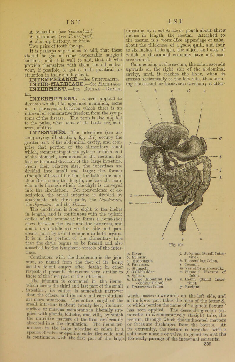 A tenaculum (see Tenaculum). A tourniquet (see Tourniquet). A shut-up bistoury, or knife. Two pairs of tootb forceps. It is perhaps superfluous to add, that these should be got at some respectable surgical cutler’s; and it is well to add, that all who provide themselves with them, should endea- vour, if possible, to get a little practical in- struction in their employment. INTEMPERANCE.—See Stimulants. INTER-MARRIAGE.—See Marriage. INTERMENT.—See Burial—Death, &c. INTERMITTENT,—a term applied to diseases which, like ague and neuralgia, come on in paroxysms, between which there is an interval of comparative freedom from the symp- toms' of the disease. The term is also applied to the pulse, when some of its beats are, as it were, omitted. INTESTINES.—The intestines (see ac- companying illustration, fig. 137) occupy the greater part of the abdominal cavity, and com- prise that portion of the alimentary canal which, commencing at the pyloric or distal end of tlio stomach, terminates in the rectum, the last or terminal division of the large intestine. From their relative size, the intestines are divided into small and large; the former (though of less calibre than the latter) are more than three times the length, and are the main channels through which the chyle is conveyed into the circulation. For convenience of de- scription, the small intestine is divided by anatomists into three parts, the Duodenum, the Jejunum, and the Ileum. The duodenum is from eight to ten inches in length, and is continuous with the pyloric orifice of the stomach; it forms a horse-shoe curve between the liver and the pancreas, and about its middle receives tho bile and pan- creatic juice by a duct common to both organs. It is in this portion of the alimentary tube that the chyle begins to bo formed and also absorbed by the lymphatic vessels of the intes- tines. Continuous with tho duodenum is the jeju- num, so named from the fact of its being usually found empty after death; in other respects it presents characters very similar to those of tho first part of the intestine. The jejunum is continued in the ileum, which forms tho third and last part of tho small intestine; its calibre is somewhat narrower than the others, and its coils and convolutions are more numerous. The entire length of tho small intestine is about twenty feet; its inner surface or mucous membrane is liberally sup- plied with glands, follicles, and villi, by which the nutritive matters of the food aro readily absorbed into the circulation. The ileum ter- minates in the largo intestine or colon in a species of valve or opening called iloo-eolic, and is continuous with tho first part of tho largo intestine by a cul-de-sac or pouch about three? inches in length, the caecum. Attached to the caecum is a worm-like appendage or tube, about the thickness of a goose quill, and four to six inches in length, the object and uses of which in the animal economy have not been ascertained. Commencing at the caecum, the colon ascends upwards on the right side of the abdominal cavity, until it reaches the liver, when it crosses horizontally to the left side, thus form- ing the second or transverse division; it after- a beds o p n Fig. 137. а. Liver. б. Pylorus. c. (Esophagus. d. Pancreas. c. Stomach. f. Gall-bladder. <7. Spleen. h. Largo Intestine (As- cending Colon). i. Transverse Colon. j. Jejunum (Small Intes- tine). k. Descending Colon. l. Crccuni. m. Vermiform appendix. n. Sigmoid Flexure ot Colon. c. Ileum (Small Intes- tine). p. Rectum. wards passes downwards on tho left side, and at its lower part takes tho form of the letter S, to which portion tho name of “sigmoid flexure” has boon applied. Tho descending colon ter- minates in a comparatively straight tube, the rectum, through which tho undigested matters or freces aro discharged from the bowels. At its extremity, tho rectum is furnished with a sphincter muscle or valve, to guard against the too ready passago of the intestinal contents. 369