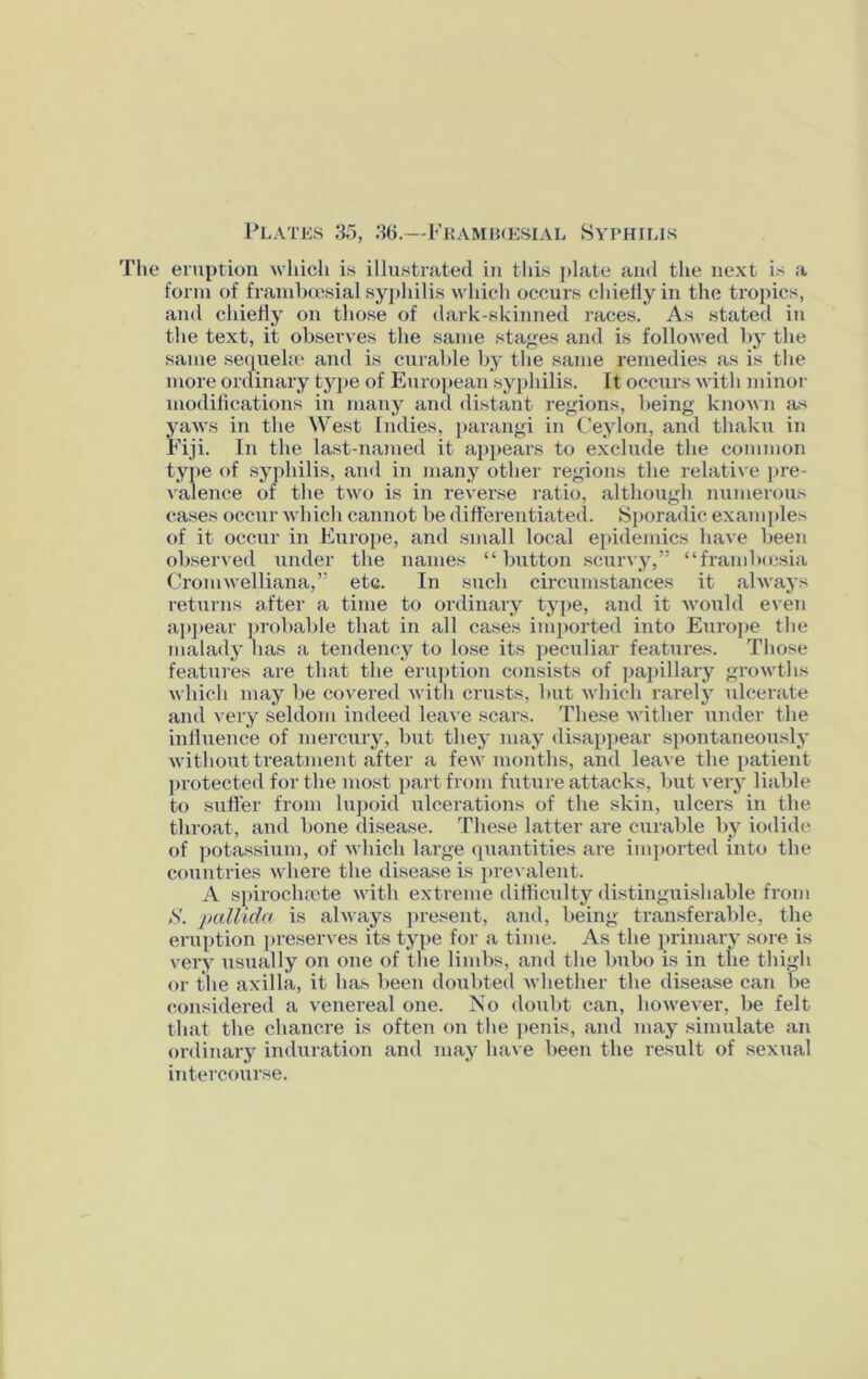Plates 35, 36.—Frambcesial Syphilis The eruption which is illustrated in this plate and the next is a form of frambcesial syphilis which occurs chiefly in the tropics, and chiefly on those of dark-skinned races. As stated in the text, it observes the same stages and is followed by the same sequelae and is curable by the same remedies as is the more ordinary type of European syphilis. It occurs with minor modifications in many and distant regions, being known as yaws in the West Indies, parangi in Ceylon, and thaku in Fiji. In the last-named it appears to exclude the common type of syphilis, and in many other regions the relative pre- valence of the two is in reverse ratio, although numerous cases occur which cannot be differentiated. Sporadic examples of it occur in Europe, and small local epidemics have been observed under the names “button scurvy,” “framboesia Cromwelliana,” etc. In such circumstances it always returns after a time to ordinary type, and it would even appear probable that in all cases imported into Europe the malady has a tendency to lose its peculiar features. Those features are that the eruption consists of papillary growths which may be covered with crusts, but which rarely ulcerate and very seldom indeed leave scars. These wither under the influence of mercury, but they may disappear spontaneously without treatment after a few months, and leave the patient protected for the most part from future attacks, but very liable to suffer from lupoid ulcerations of the skin, ulcers in the throat, and bone disease. These latter are curable by iodide of potassium, of which large quantities are imported into the countries where the disease is prevalent. A spirochaAe with extreme difficulty distinguishable from S. pallida is always present, and, being transferable, the eruption preserves its type for a time. As the primary sore is very usually on one of the limbs, and the bubo is in the thigh or the axilla, it has been doubted whether the disease can be considered a venereal one. No doubt can, however, be felt that the chancre is often on the penis, and may simulate an ordinary induration and may have been the result of sexual intercourse.