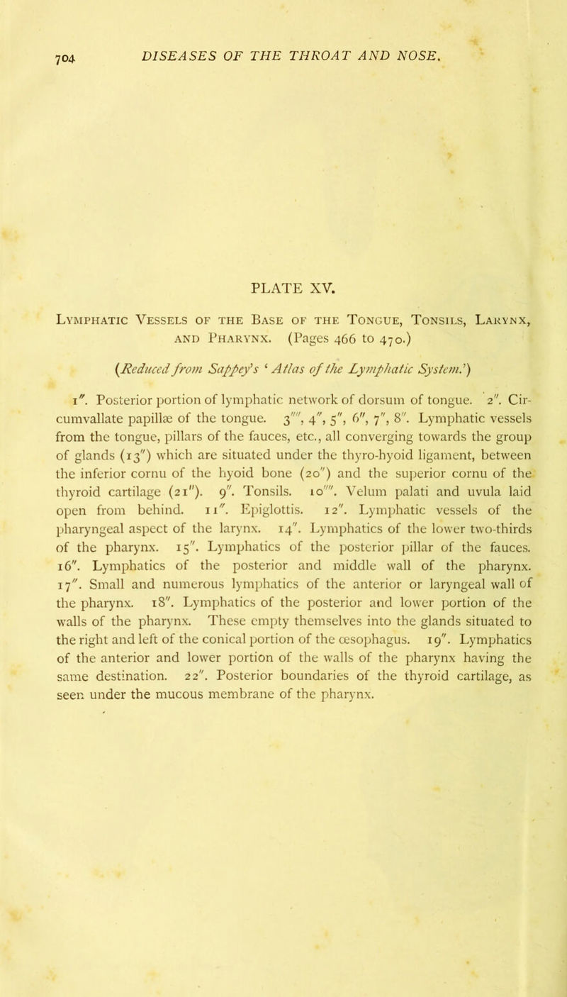 PLATE XV. Lymphatic Vessels of the Base of the Tongue, Tonsils, Larynx, and Pharynx. (Pages 466 to 470.) (.Reduced from Sappey's 1 Atlas of the Lymphatic System.'') 1. Posterior portion of lymphatic network of dorsum of tongue. 2. Cir- cumvallate papillae of the tongue, f, 4, 5, 6, 7, 8. Lymphatic vessels from the tongue, pillars of the fauces, etc., all converging towards the group of glands (13) which are situated under the thyro-hyoid ligament, between the inferior cornu of the hyoid bone (20) and the superior cornu of the. thyroid cartilage (21). 9. Tonsils. 10. Velum palati and uvula laid open from behind. n. Epiglottis. 12. Lymphatic vessels of the pharyngeal aspect of the larynx. 14. Lymphatics of the lower two-thirds of the pharynx. 15. Lymphatics of the posterior pillar of the fauces. 16. Lymphatics of the posterior and middle wall of the pharynx. if'. Small and numerous lymphatics of the anterior or laryngeal wall of the pharynx. 18. Lymphatics of the posterior and lower portion of the walls of the pharynx. These empty themselves into the glands situated to the right and left of the conical portion of the oesophagus. 19. Lymphatics of the anterior and lower portion of the walls of the pharynx having the same destination. 22. Posterior boundaries of the thyroid cartilage, as seen under the mucous membrane of the pharynx.