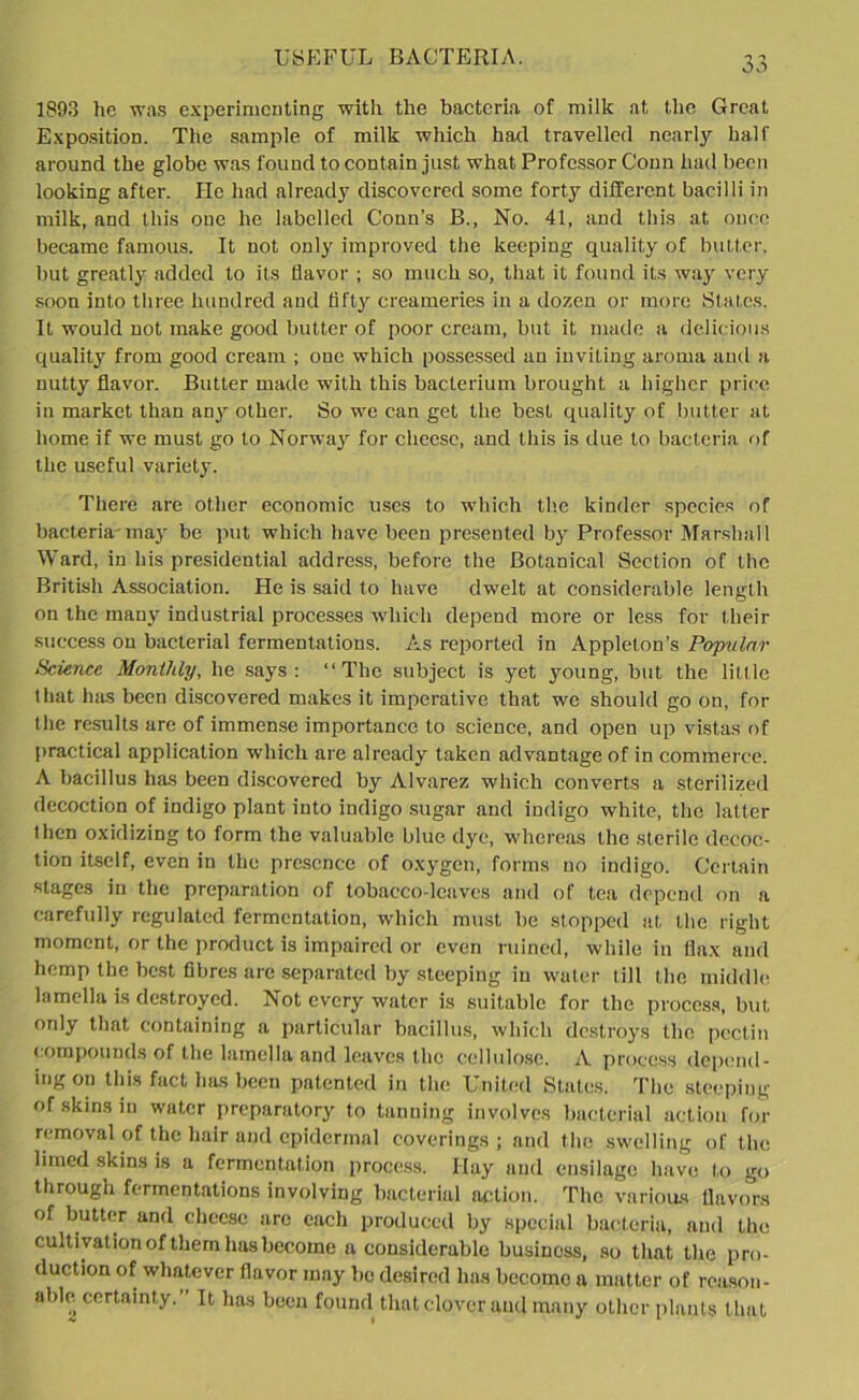 USEFUL BACTERIA. -y So 1893 lie was experimenting with the bacteria of milk at the Great Exposition. The sample of milk which had travelled nearly half around the globe was found to contain just what Professor Conn had been looking after. He had already discovered some forty different bacilli in milk, and this one he labelled Conn’s B., No. 41, and this at once became famous. It not only improved the keeping quality of butter, but greatly added to its flavor ; so much so, that it found its way very soon into three hundred and fifty creameries in a dozen or more States. It would not make good butter of poor cream, but it made a delicious quality from good cream ; one which possessed an inviting aroma and a nutty flavor. Butter made with this bacterium brought a higher price in market than any other. So we can get the best quality of butter at home if we must go to Norway for cheese, and this is due to bacteria of the useful variety. There are other economic uses to which the kinder species of bacteria may be put which have been presented by Professor Marshall Ward, in his presidential address, before the Botanical Section of the British Association. He is said to have dwelt at considerable length on the many industrial processes which depend more or less for their success on bacterial fermentations. As reported in Appleton’s Popular Science Monthly, he says: “The subject is yet young, but the little that has been discovered makes it imperative that we should go on, for the results are of immense importance to science, and open up vistas of practical application which are already taken advantage of in commerce. A bacillus has been discovered by Alvarez which converts a sterilized decoction of indigo plant into indigo sugar and indigo white, the latter then oxidizing to form the valuable blue dye, whereas the sterile decoc- tion itself, even in the presence of oxygen, forms no indigo. Certain stages in the preparation of tobacco-leaves and of tea depend on a carefully regulated fermentation, which must be stopped at the right moment, or the product is impaired or even ruined, while in flax and hemp the best fibres are separated by steeping in water till the middle lamella is destroyed. Not every water is suitable for the process, but only that containing a particular bacillus, which destroys the pectin compounds of the lamella and leaves the cellulose. A process depend- ing °n tins fact has been patented in the United States. The steeping of skins in water preparatory to tanning involves bacterial action for removal of the hair and epidermal coverings; and the swelling of the limed skins is a fermentation process. Ilay and ensilage have to go through fermentations involving bacterial action. The various flavors of butter and cheese are each produced by special bacteria, and the cultivation of them has become a considerable business, so that the pro- duction of whatever flavor may be desired has become a matter of reason- able certainty.” It has been found that clover and many other plants that