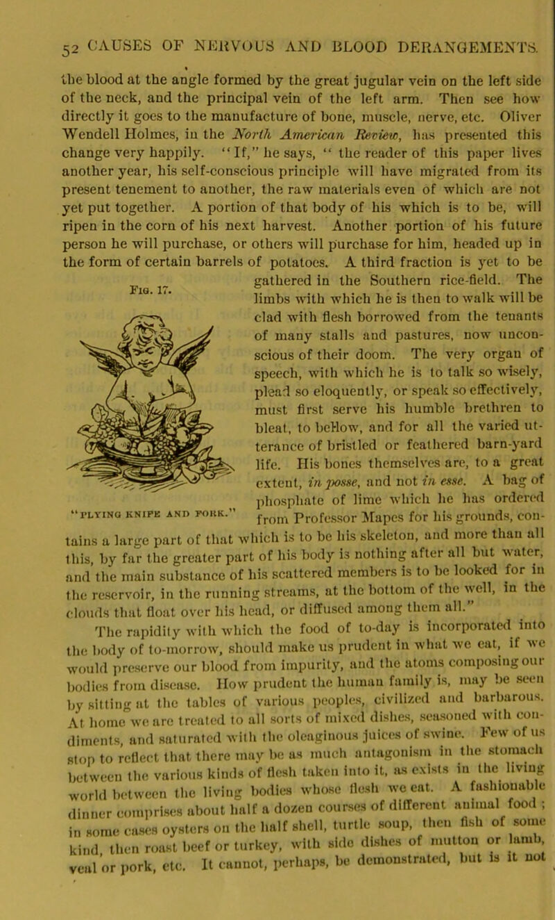 Fig. 17 llie blood at the angle formed by the great jugular vein on the left side of the neck, and the principal vein of the left arm. Then see how directly it goes to the manufacture of bone, muscle, nerve, etc. Oliver Wendell Holmes, in the North American Review, has presented this change very happily. “If,” he says, “ the reader of this paper lives another year, his self-conscious principle will have migrated from its present tenement to another, the raw materials even of which are not yet put together. A portion of that body of his which is to be, will ripen in the corn of his next harvest. Another portion of his future person he will purchase, or others will purchase for him, headed up in the form of certain barrels of potatoes. A third fraction is yet to be gathered in the Southern rice-field. The limbs with which he is then to walk will be clad with flesh borrowed from the tenants of many stalls and pastures, now uncon- scious of their doom. The very organ of speech, with which he is to talk so wisely, plead so eloquently, or speak so effectively, must first serve his humble brethren to bleat, to bellow, and for all the varied ut- terance of bristled or feathered barn-yard life. His bones themselves are, to a great extent, in posse, and not in esse. A bag of phosphate of lime which he has ordered from Professor Mapes for his grounds, con- tains a large part of that which is to be his skeleton, and more than all this, by far the greater part of his body is nothing after all but water, and the main substance of his scattered members is to be looked for in the reservoir, in the running streams, at the bottom of the well, in the clouds that float over his head, or diffused among them all.” The rapidity with which the food of to-day is incorporated into the body of to-morrow, should make us prudent in what we eat, if we would preserve our blood from impurity, and the atoms composing our bodies from disease. How prudent the human family is, may be seen by sitting at the tables of various peoples, civilized and barbarous. At home we are treated to all sorts of mixed dishes, seasoned with con- diments, and saturated with the oleaginous juices of swine. Few of us stop to reflect that there may be as much antagonism in the stomach between the various kinds of flesh taken into it, as exists in the living world between the living bodies whose flesh we eat. A fashionable dinner comprises about half a dozen courses of different animal food ; in some cases oysters on the half shell, turtle soup, then fish of some kind then roast beef or turkey, with side dishes of mutton or lamb veal or pork, etc. It cannot, perhaps, be demonstrated, but is it not “ PLYING KNIFE AND FOUR.