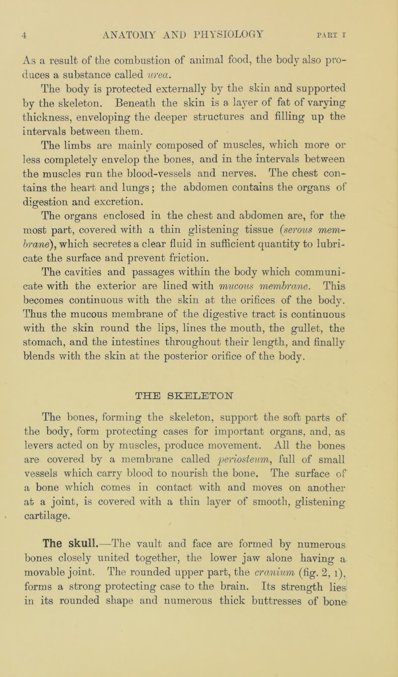 As a result of the combustion of animal food, the body also pro- duces a substance called urea. The body is protected externally by the shin and supported by the skeleton. Beneath the skin is a layer of fat of varying thickness, enveloping the deeper structures and filling up the intervals between them. The limbs are mainly composed of muscles, which more or less completely envelop the bones, and in the intervals between the muscles run the blood-vessels and nerves. The chest con- tains the heart and lungs; the abdomen contains the organs of digestion and excretion. The organs enclosed in the chest and abdomen are, for the most part, covered with a thin glistening tissue (serous mem- brane), which secretes a clear fluid in sufficient quantity to lubri- cate the surface and prevent friction. The cavities and passages within the body which communi- cate with the exterior are lined with mucous membrane. This becomes continuous with the skin at the orifices of the bodv. */ Thus the mucous membrane of the digestive tract is continuous with the skin round the lips, lines the mouth, the gullet, the stomach, and the intestines throughout their length, and finally blends with the skin at the posterior orifice of the body. THE SKELETON The bones, forming the skeleton, support the soft parts of the body, form protecting cases for important organs, and, as levers acted on by muscles, produce movement. All the bones are covered by a membrane called periosteum, full of small vessels which carry blood to nourish the bone. The surface of a bone which comes in contact with and moves on another at a joint, is covered with a thin layer of smooth, glistening cartilage. The skull.—The vault and face are formed by numerous bones closely united together, the lower jaw alone having a movable joint. The rounded upper part, the cranium (fig. 2, 1), forms a strong protecting case to the brain. Its strength lies in its rounded shape and numerous thick buttresses of bone'
