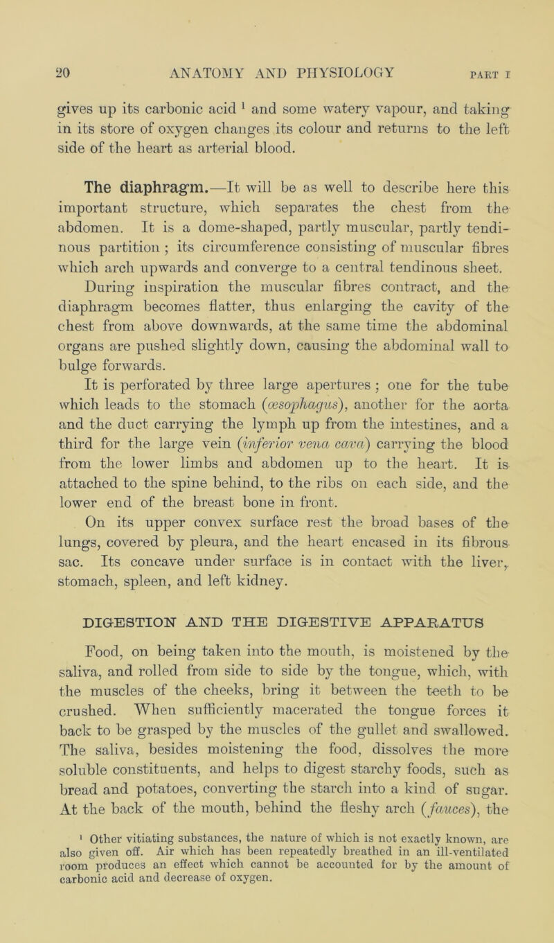 gives up its carbonic acicl 1 and some watery vapour, and taking in its store of oxygen changes its colour and returns to the left side of the heart as arterial blood. The diaphragm—It will be as well to describe here this important structure, which separates the chest from the abdomen. It is a dome-shaped, partly muscular, partly tendi- nous partition ; its circumference consisting of muscular fibres which arch upwards and converge to a central tendinous sheet. During inspiration the muscular fibres contract, and the diaphragm becomes flatter, thus enlarging the cavity of the chest from above downwards, at the same time the abdominal organs are pushed slightly down, causing the abdominal wall to bulge forwards. It is perforated by three large apertures ; one for the tube which leads to the stomach (oesophagus), another for the aorta and the duct carrying the lymph up from the intestines, and a third for the large vein (inferior vena, cava) carrying the blood from the lower limbs and abdomen up to the heart. It is attached to the spine behind, to the ribs on each side, and the lower end of the breast bone in front. On its upper convex surface rest the broad bases of the lungs, covered by pleura, and the heart encased in its fibrous sac. Its concave under surface is in contact with the liver,, stomach, spleen, and left kidney. DIGESTION AND THE DIGESTIVE APPARATUS Food, on being taken into the mouth, is moistened by the saliva, and rolled from side to side by the tongue, which, with the muscles of the cheeks, bring it between the teeth to be crushed. When sufficiently macerated the tongue forces it back to be grasped by the muscles of the gullet and swallowed. The saliva, besides moistening the food, dissolves the more soluble constituents, and helps to digest starchy foods, such as bread and potatoes, converting the starch into a kind of sugar. At the back of the mouth, behind the fleshy arch (fauces), the 1 Other vitiating substances, the nature of which is not exactly known, are also given off. Air which has been repeatedly breathed in an ill-ventilated room produces an effect which cannot be accounted for by the amount of carbonic acid and decrease of oxygen.
