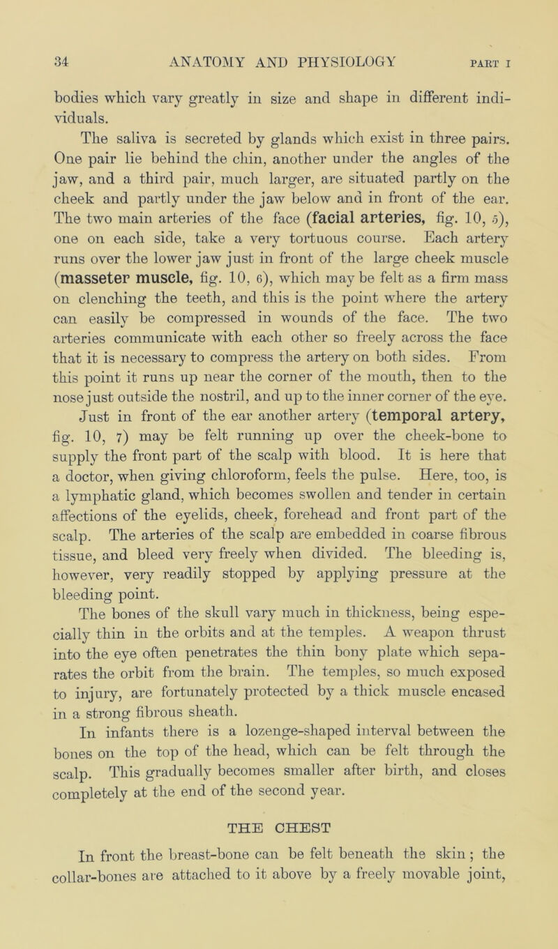 bodies which vary greatly in size and shape in different indi- viduals. The saliva is secreted by glands which exist in three pairs. One pair lie behind the chin, another under the angles of the jaw, and a third pair, much larger, are situated partly on the cheek and partly under the jaw below and in front of the ear. The two main arteries of the face (facial arteries, fig. 10, 5), one on each side, take a very tortuous course. Each artery runs over the lower jaw just in front of the large cheek muscle (masseter muscle, fig. 10, 6), which maybe felt as a firm mass on clenching the teeth, and this is the point where the artery can easily be compressed in wounds of the face. The two arteries communicate with each other so freely across the face that it is necessary to compress the artery on both sides. From this point it runs up near the corner of the mouth, then to the nose just outside the nostril, and up to the inner corner of the eye. Just in front of the ear another artery (temporal artery, fig. 10, 7) may be felt running up over the cheek-bone to supply the front part of the scalp with blood. It is here that a doctor, when giving chloroform, feels the pulse. Here, too, is a lymphatic gland, which becomes swollen and tender in certain affections of the eyelids, cheek, forehead and front part of the scalp. The arteries of the scalp are embedded in coarse fibrous tissue, and bleed very freely when divided. The bleeding is, however, very readily stopped by applying pressure at the bleeding point. The bones of the skull vary much in thickness, being espe- cially thin in the orbits and at the temples. A weapon thrust into the eye often penetrates the thin bony plate which sepa- rates the orbit from the brain. The temples, so much exposed to injury, are fortunately protected by a thick muscle encased in a strong fibrous sheath. In infants there is a lozenge-shaped interval between the bones on the top of the head, which can be felt through the scalp. This gradually becomes smaller after birth, and closes completely at the end of the second year. THE CHEST In front the breast-bone can be felt beneath the skin ; the collar-bones are attached to it above by a freely movable joint,