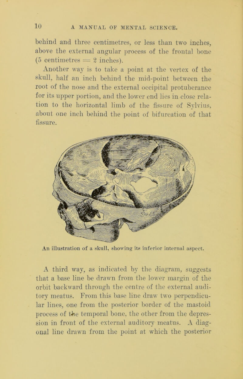 behind and three centimetres, or less than two inches, above the external angular process of the frontal bone (5 centimetres = 2 inches). Another way is to take a point at the vertex of the skull, half an inch behind the mid-point between the root of the nose and the external occipital protuberance for its upper portion, and the lower end lies in close rela- tion to the horizontal limb of the fissure of Sylvius, about one inch behind the point of bifurcation of that fissure. An illustration of a skull, showing its inferior internal aspect. A third way, as indicated by the diagram, suggests that a base line be drawn from the lower margin of the orbit backward through the centre of the external audi- tory meatus. From this base line draw two perpendicu- lar lines, one from the posterior border of the mastoid process of the temporal bone, the other from the depres- sion in front of the external auditory meatus. A diag- onal line drawn from the point at which the posterior