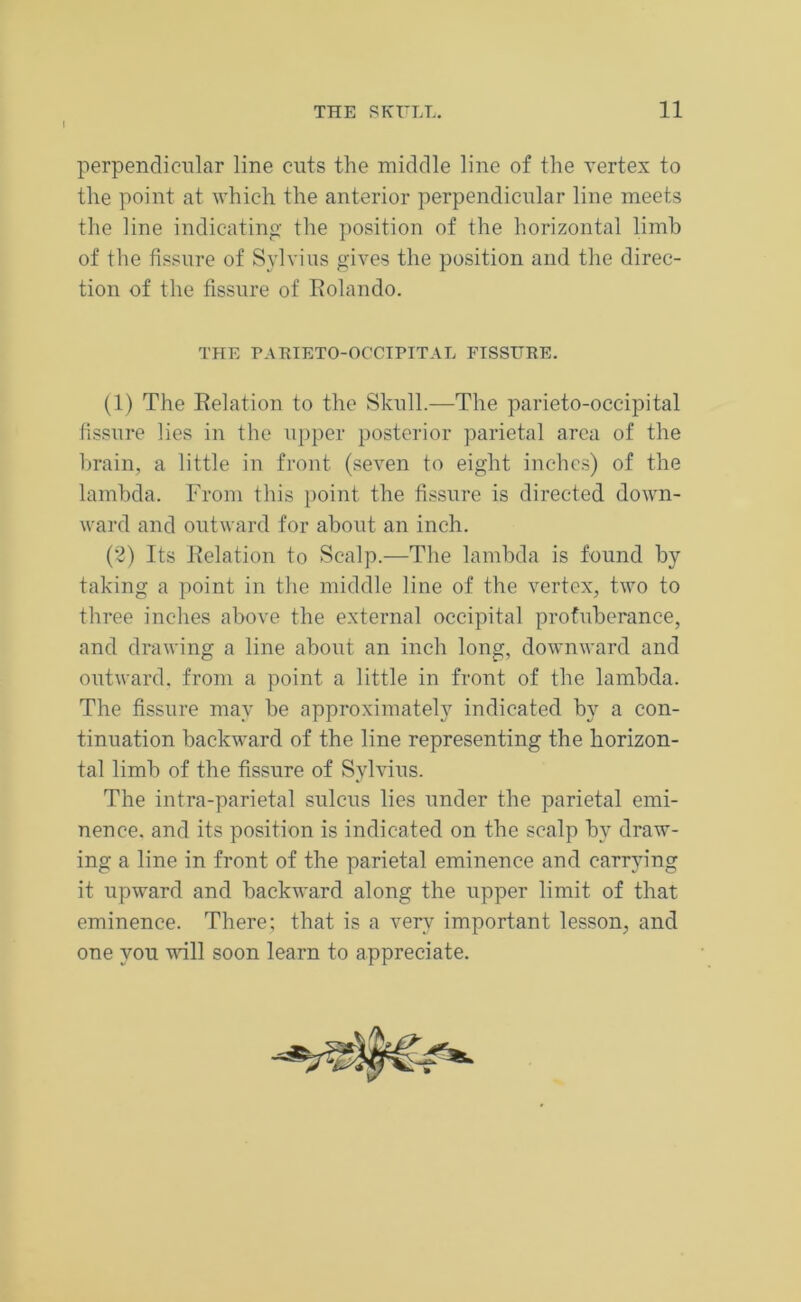 perpendicular line cuts the middle line of the vertex to the point at which the anterior perpendicular line meets the line indicating the position of the horizontal limb of the fissure of Sylvius gives the position and the direc- tion of the fissure of Rolando. (1) The Relation to the Skull.—The parieto-occipital fissure lies in the upper posterior parietal area of the brain, a little in front (seven to eight inches) of the lambda. From this point the fissure is directed down- ward and outward for about an inch. (2) Its Relation to Scalp.—The lambda is found by taking a point in the middle line of the vertex, two to three inches above the external occipital protuberance, and drawing a line about an inch long, downward and outward, from a point a little in front of the lambda. The fissure may be approximately indicated by a con- tinuation backward of the line representing the horizon- tal limb of the fissure of Sylvius. The intra-parietal sulcus lies under the parietal emi- nence. and its position is indicated on the scalp by draw- ing a line in front of the parietal eminence and carrying it upward and backward along the upper limit of that eminence. There; that is a very important lesson, and one you will soon learn to appreciate. THE PARIETO-OCCIPITAL FISSURE.